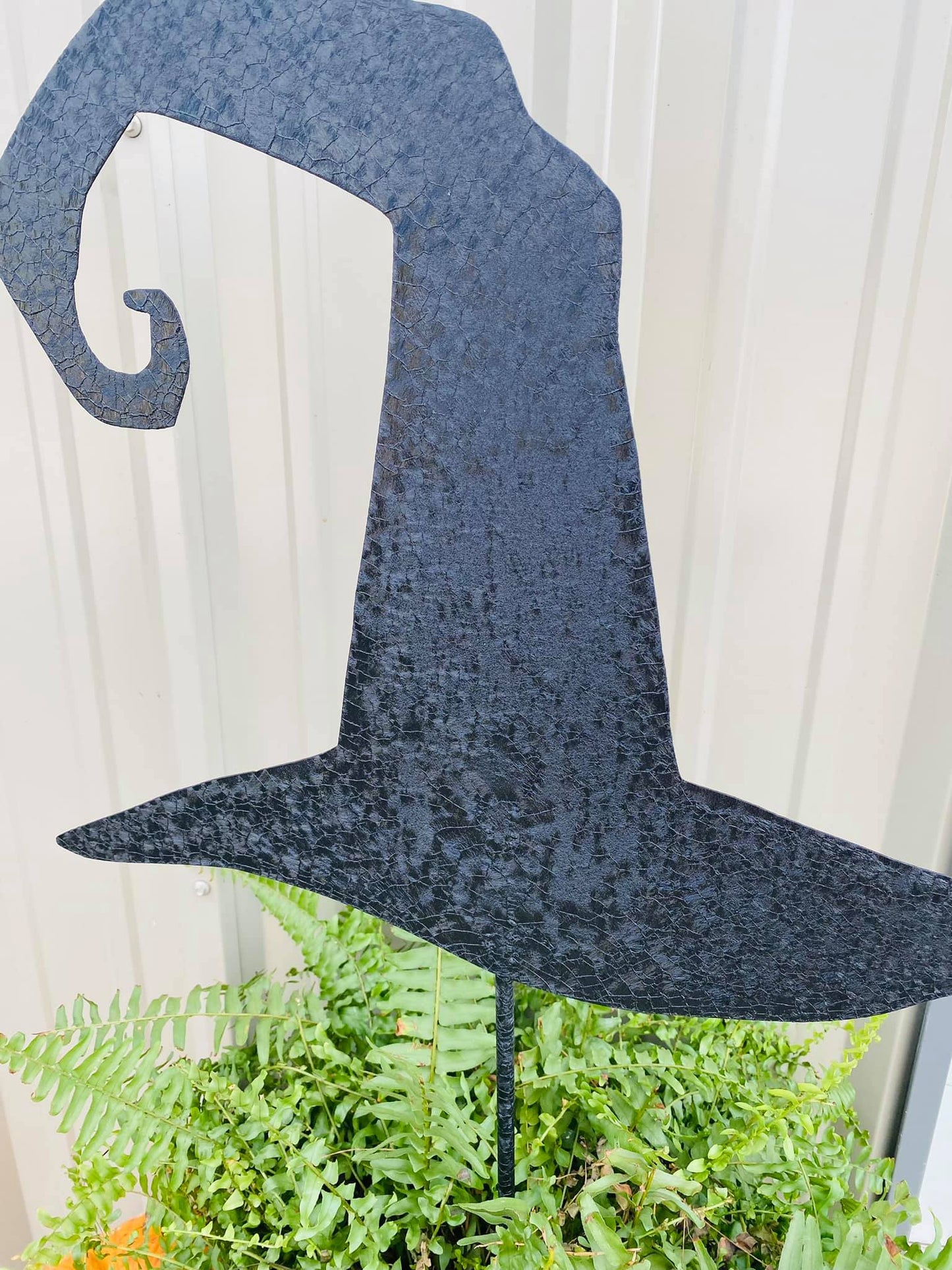 Witch's Hat