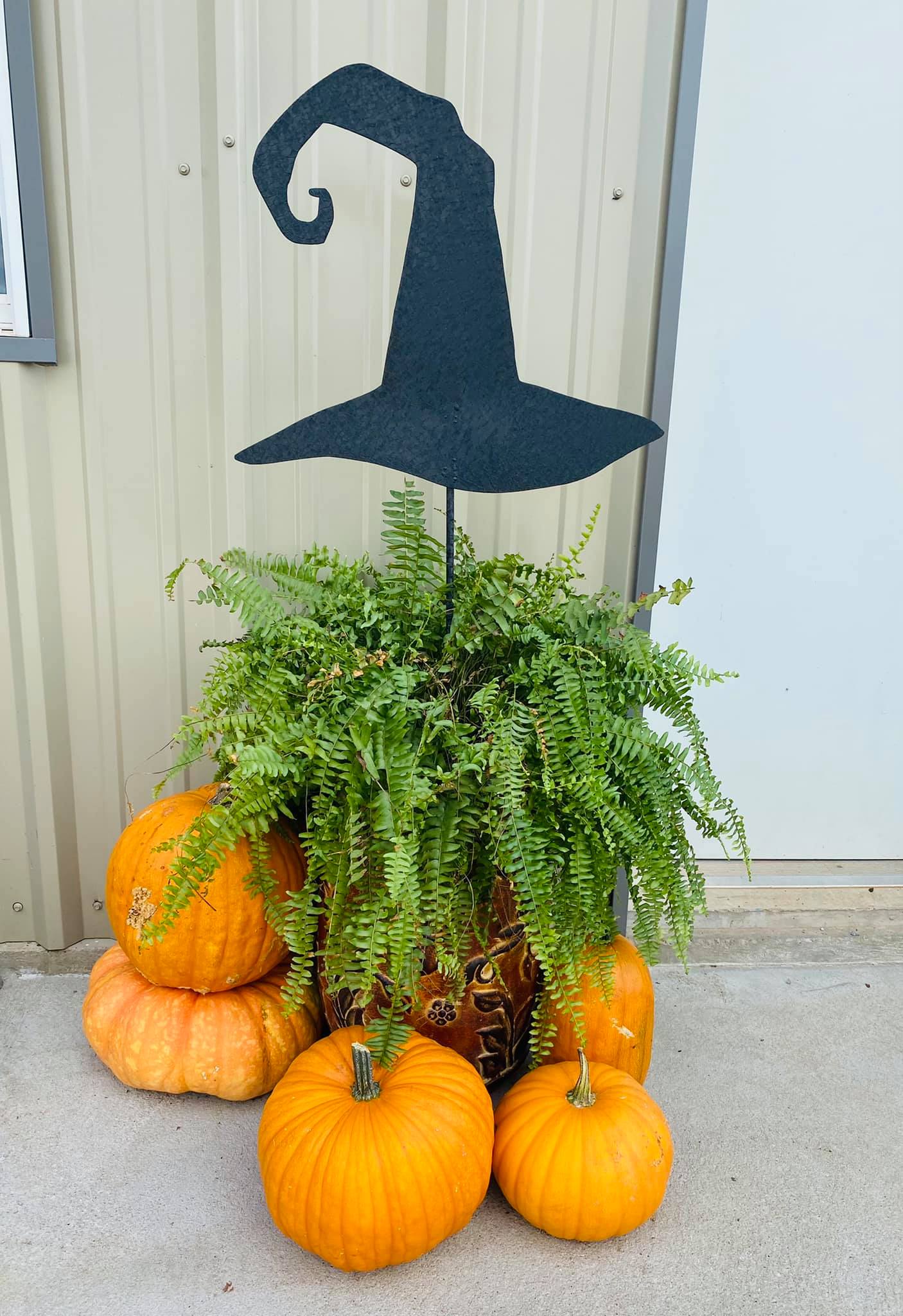 Witch's Hat