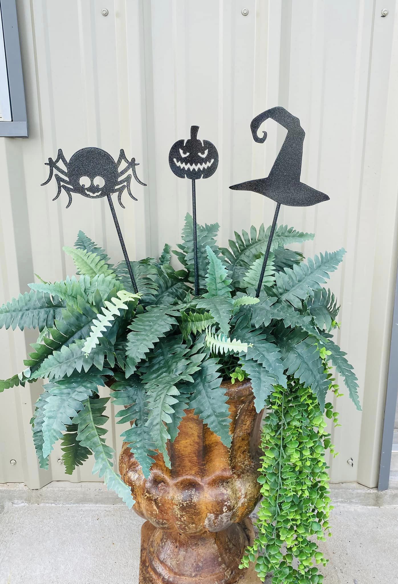 Witch's Hat