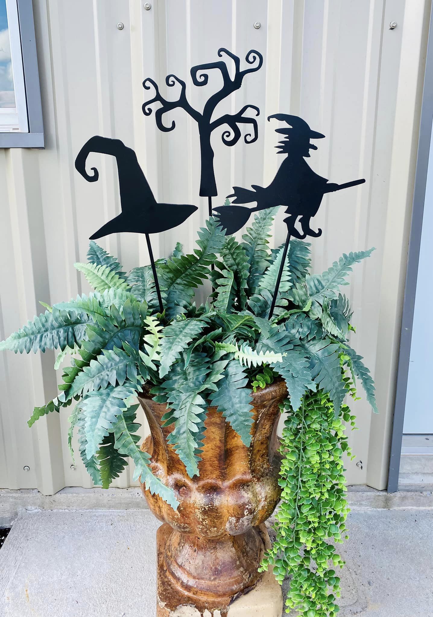 Witch's Hat