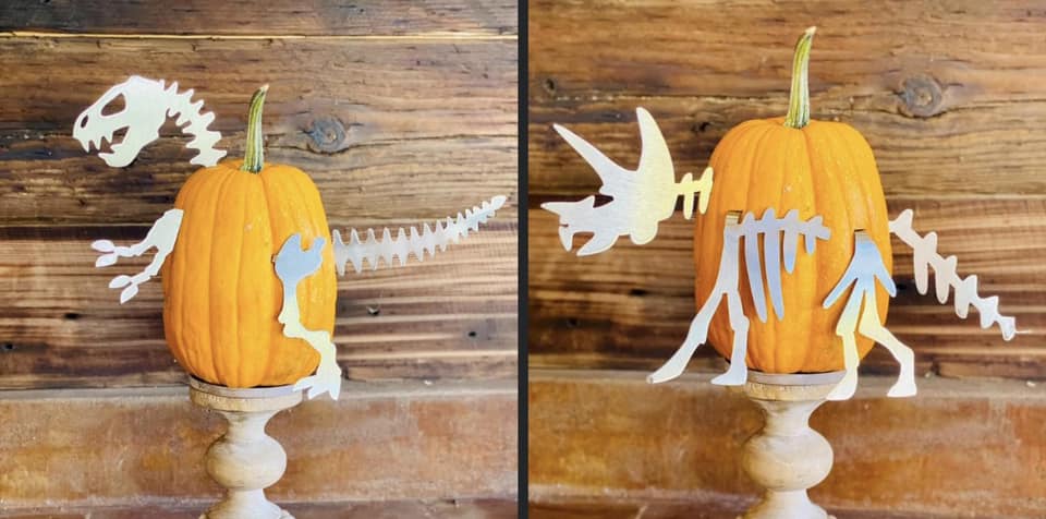 Dino Bones Small Pumpkin Kit