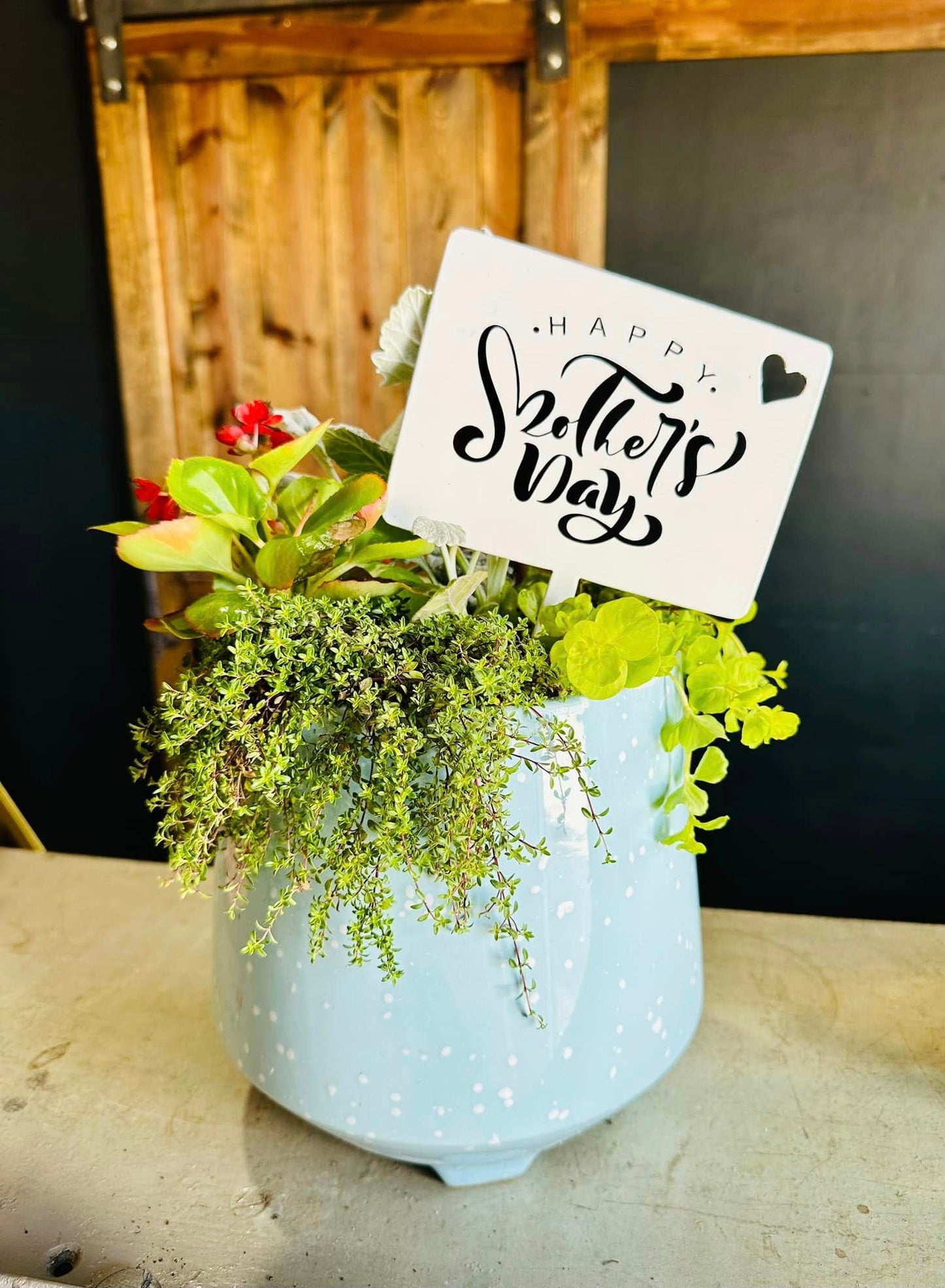 Plant Spike - Happy Mother's Day