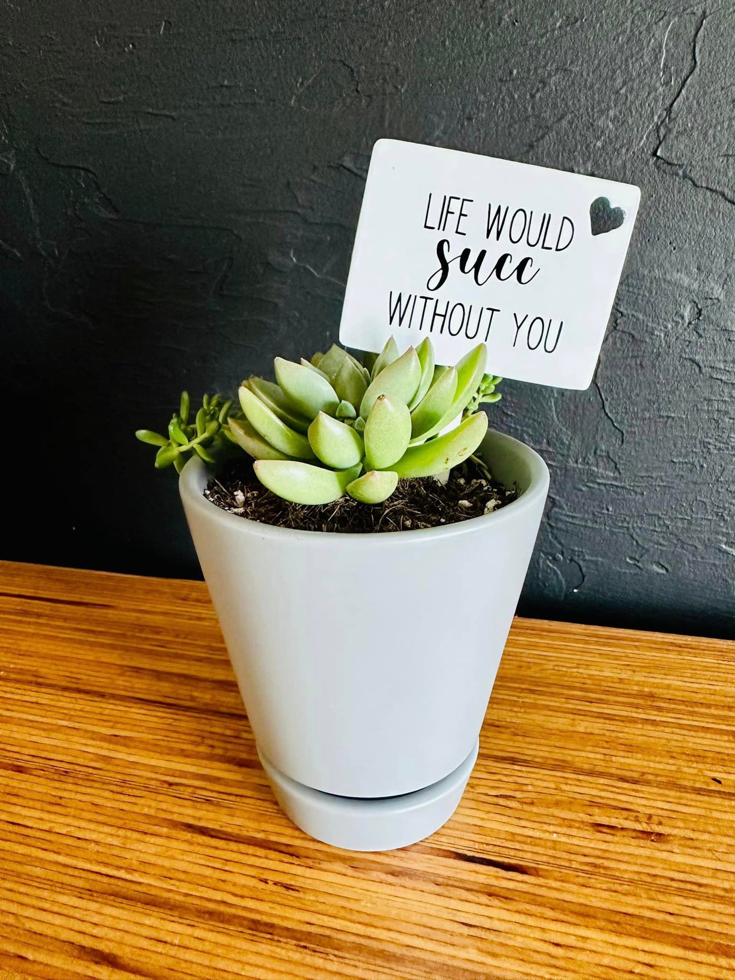 Plant Spike - Life Would Succ Without You