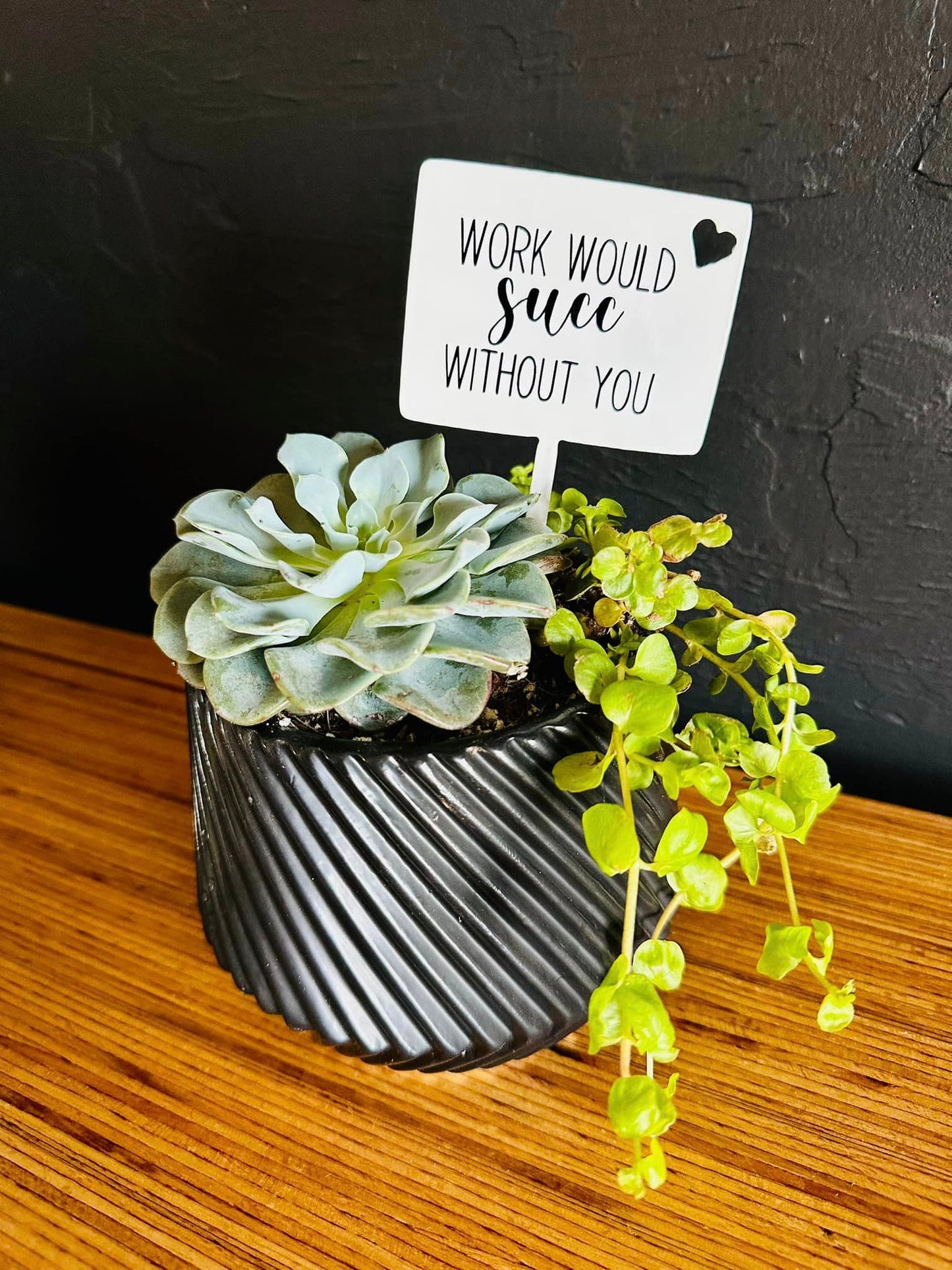 Plant Spike - Work Would Succ Without You