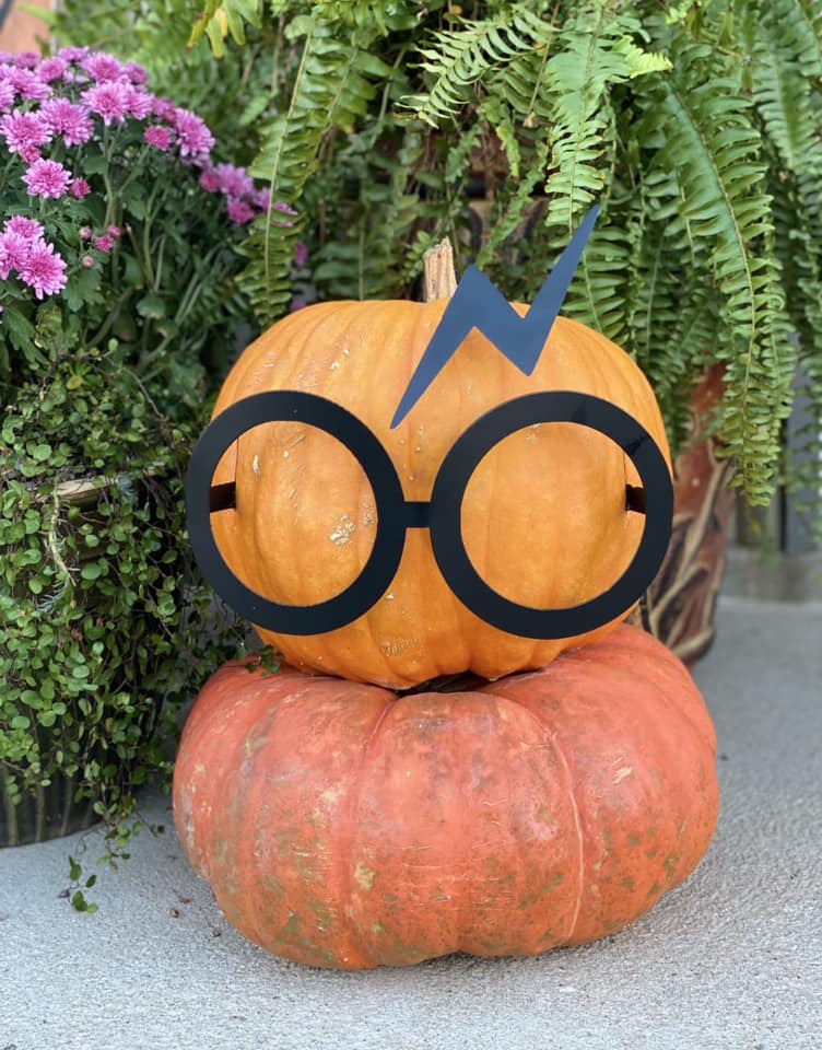 Harry Potter Large Pumpkin Kit