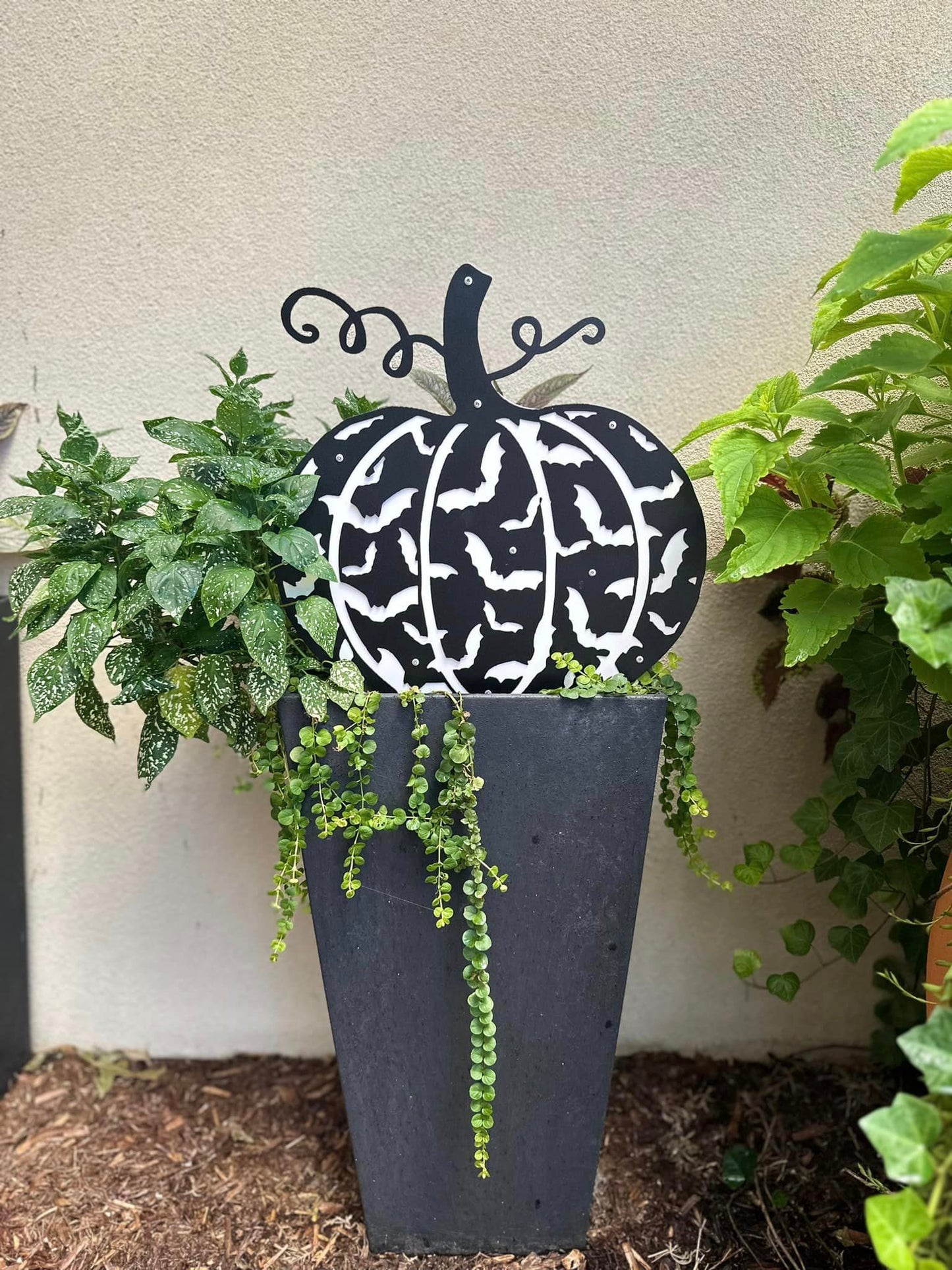 Batty Pumpkin