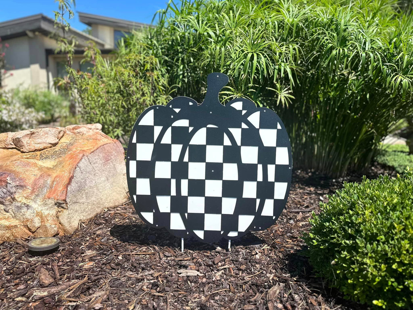 Checkered Pumpkin