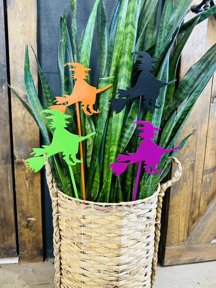 Witch & Her Broom