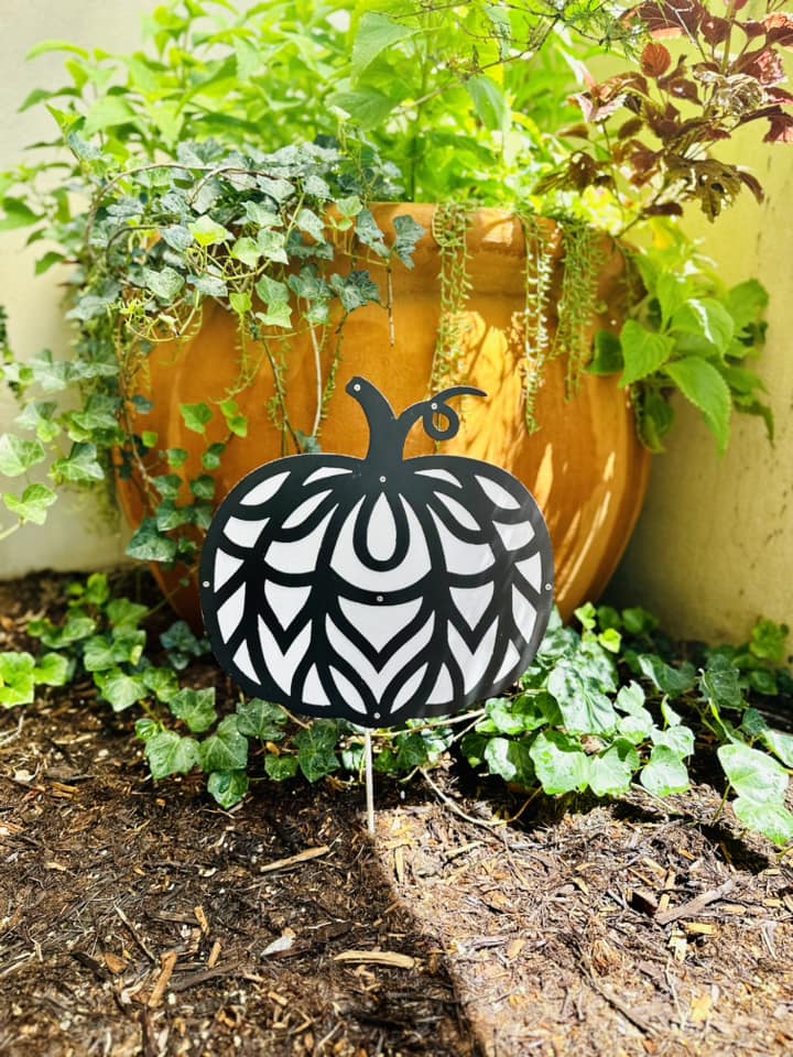 Black and White Pumpkin