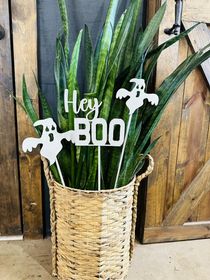 Hey Boo!