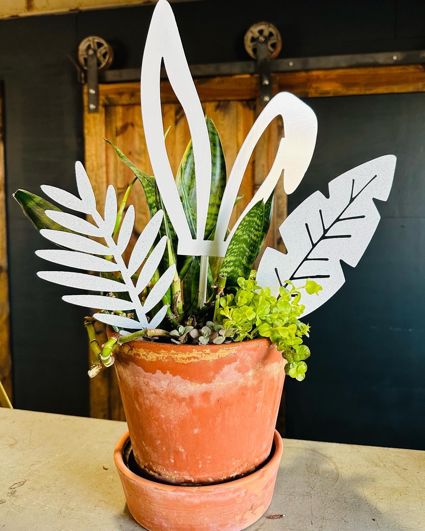 Plant Leaf Picks