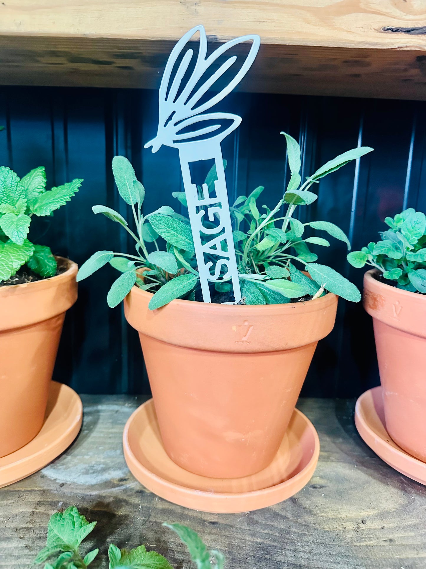 Garden Plant Label