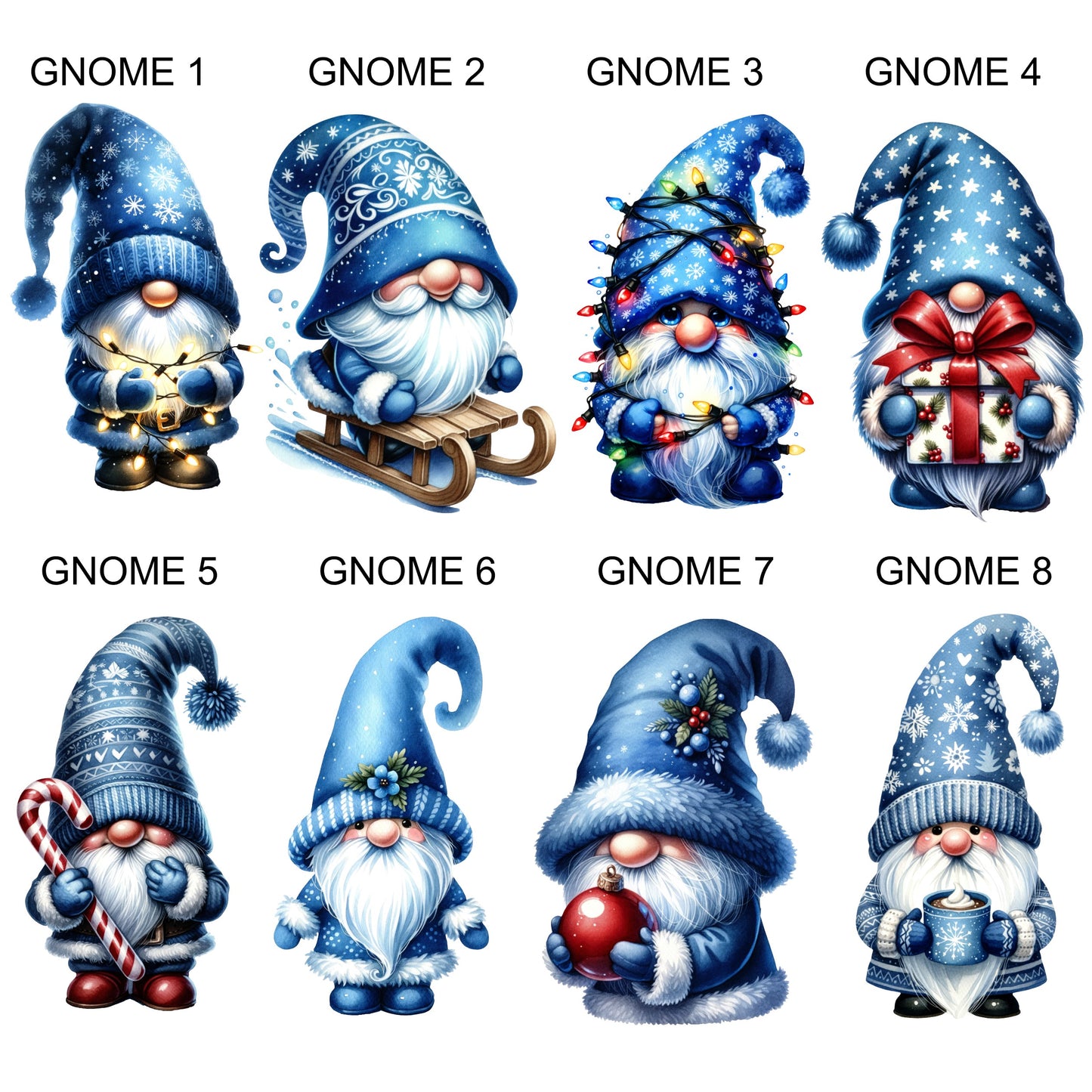 Blue Gnome