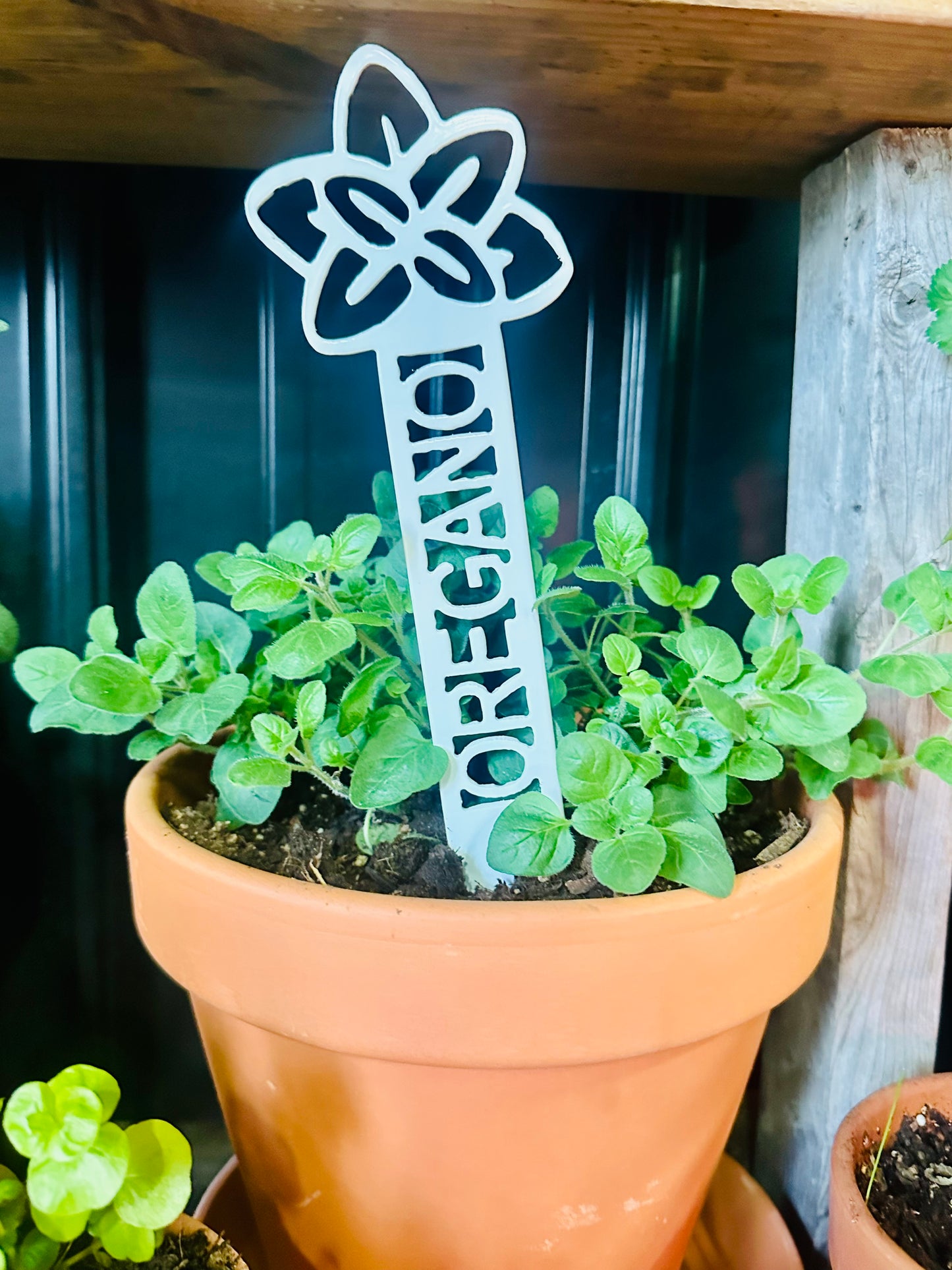 Garden Plant Label