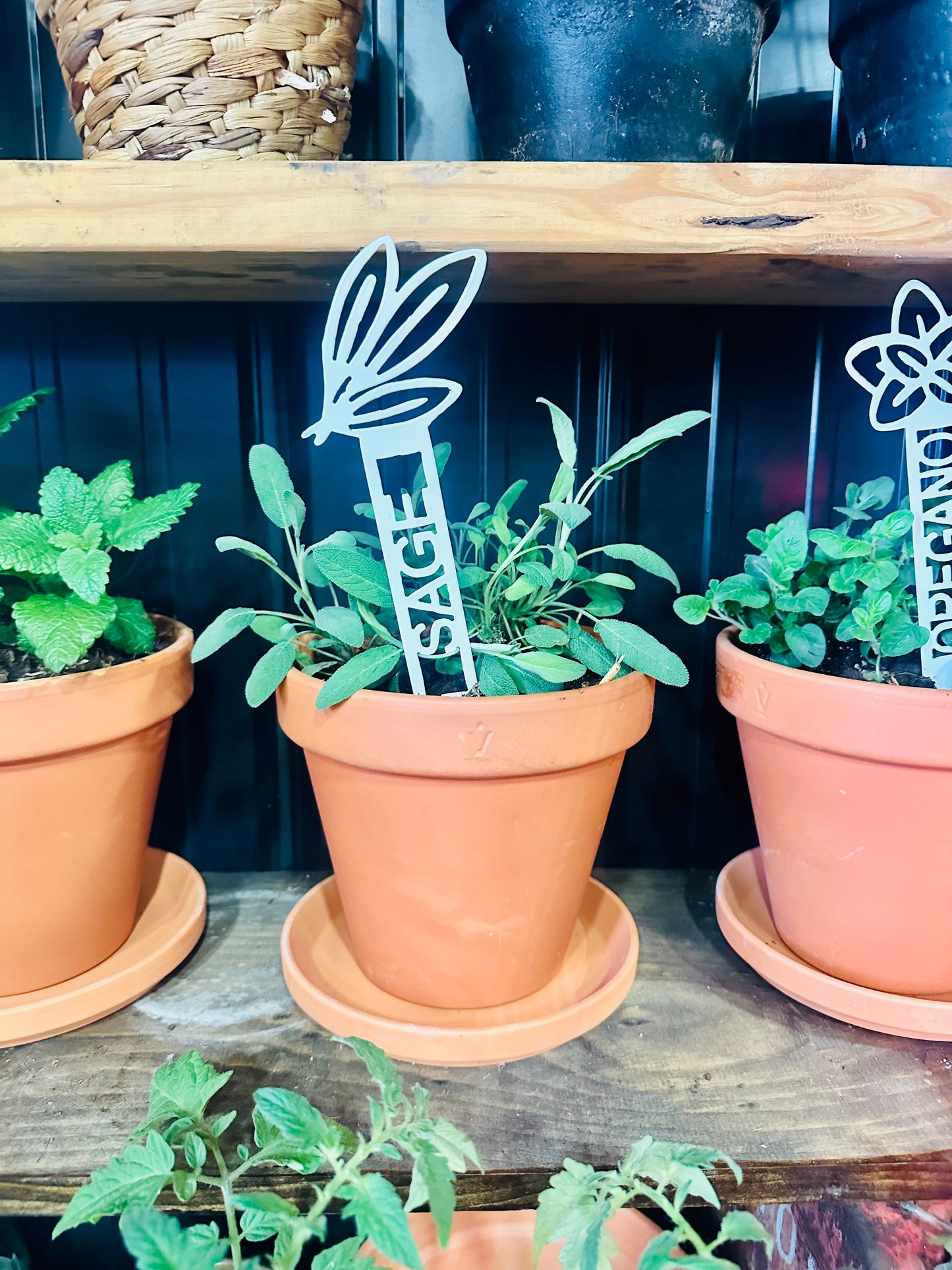 Garden Plant Label