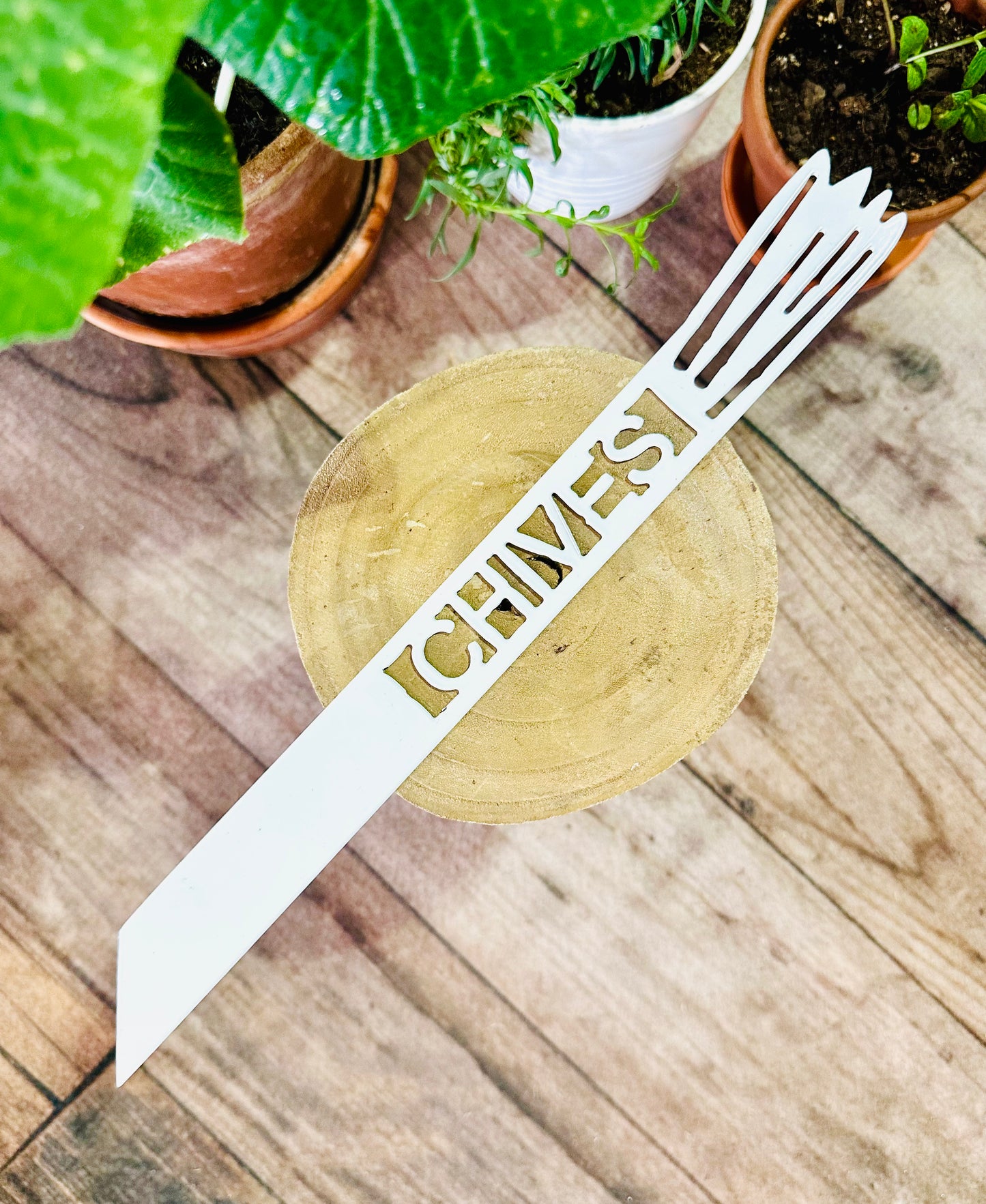 Garden Plant Label