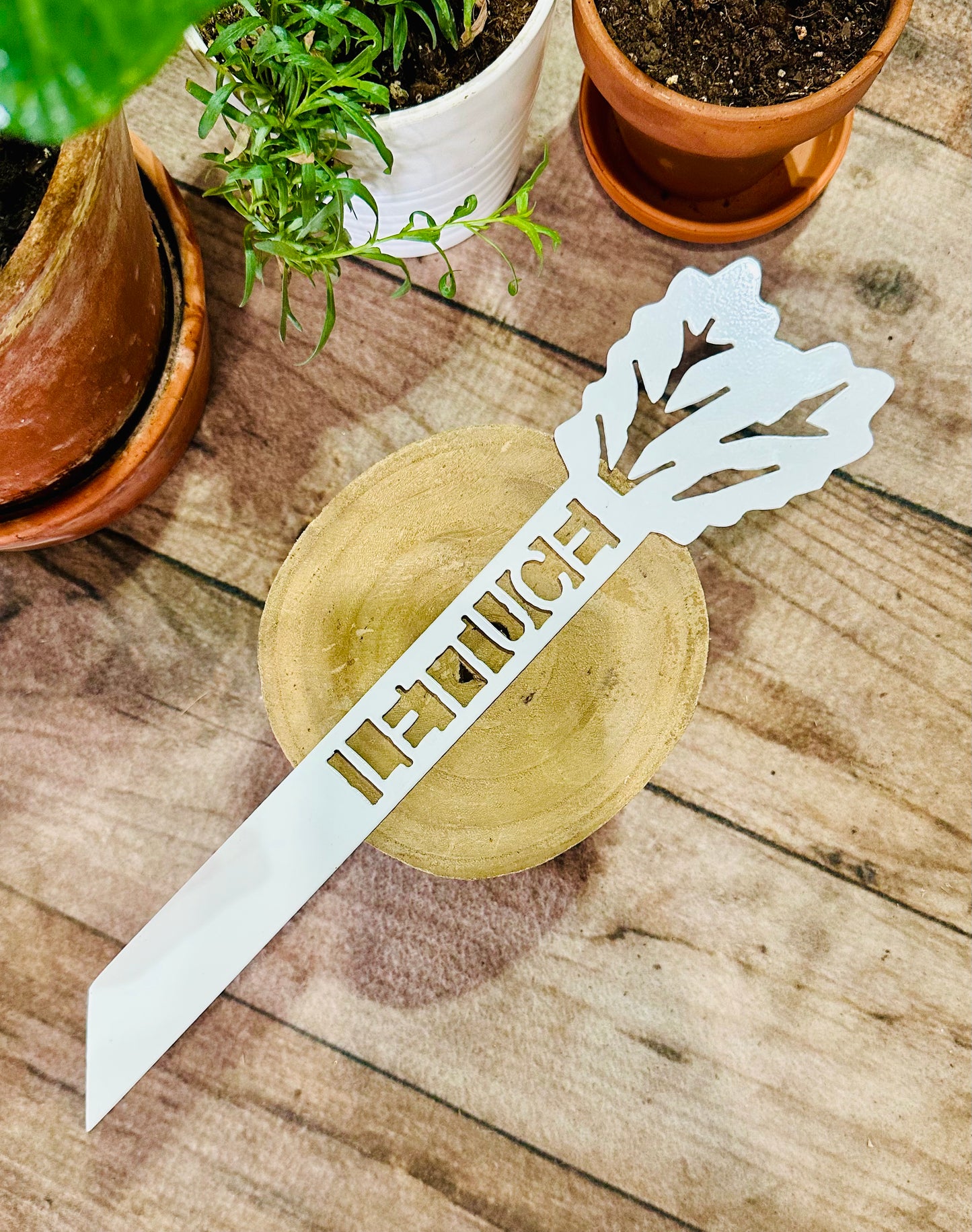 Garden Plant Label