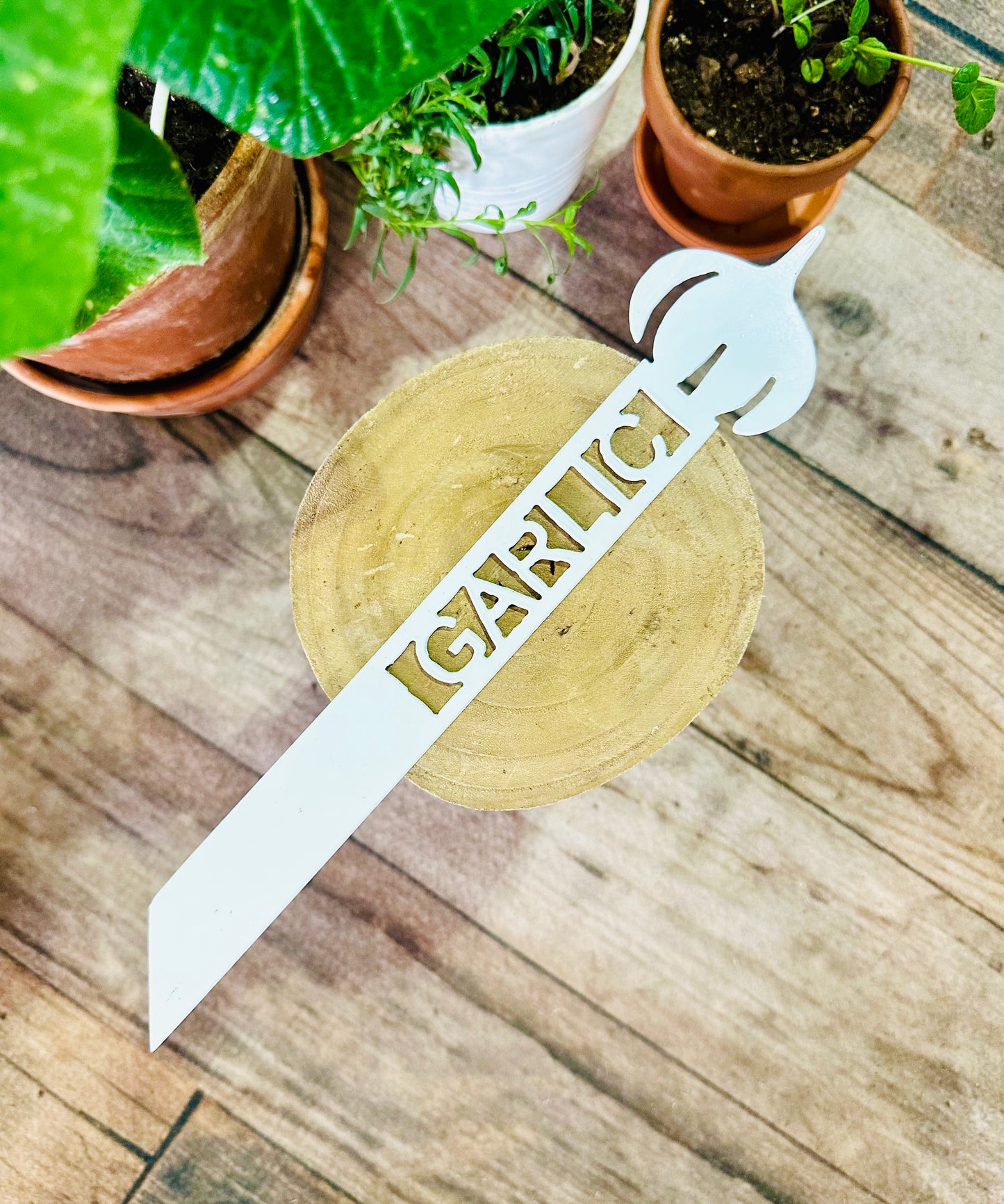 Garden Plant Label