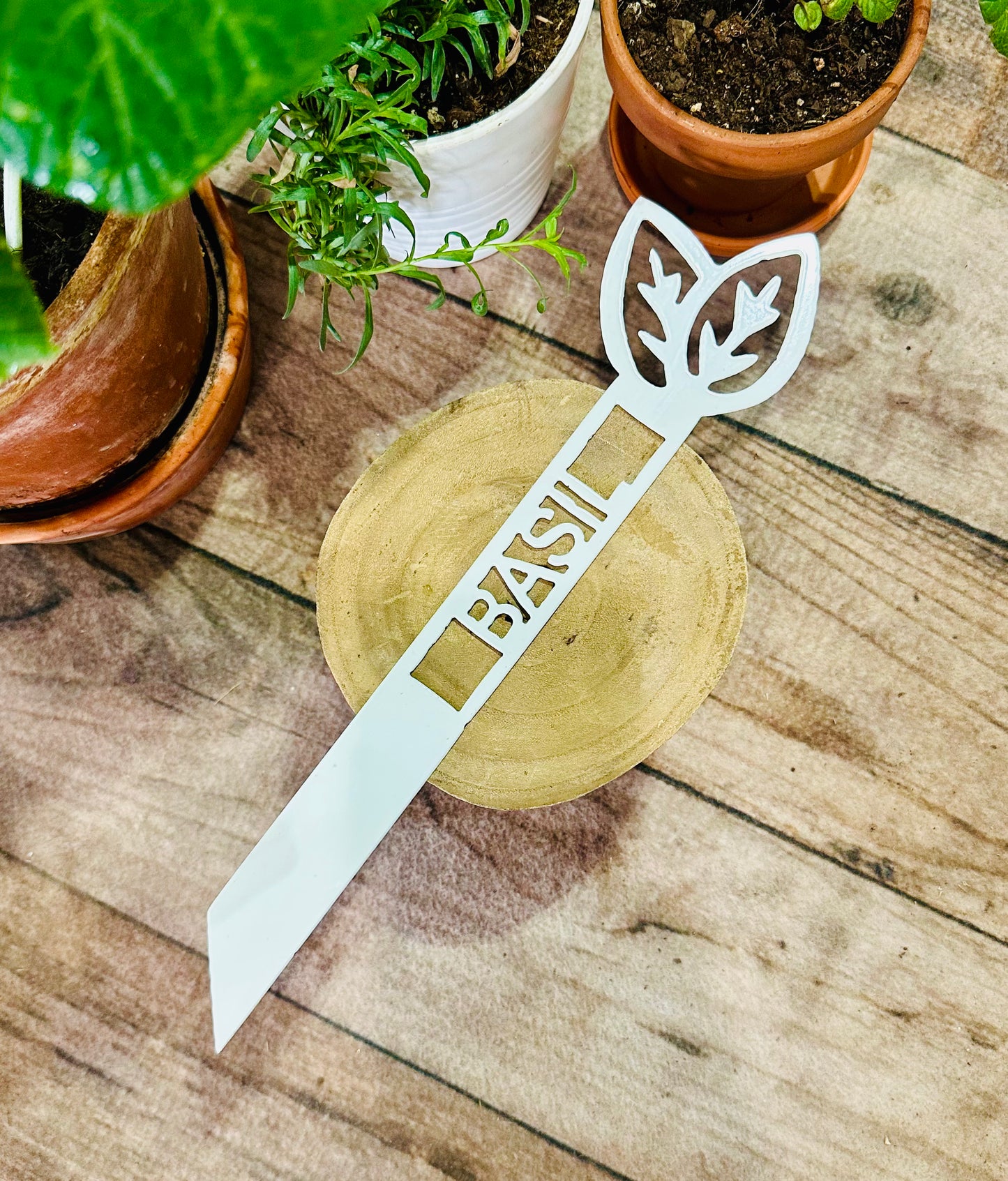 Garden Plant Label