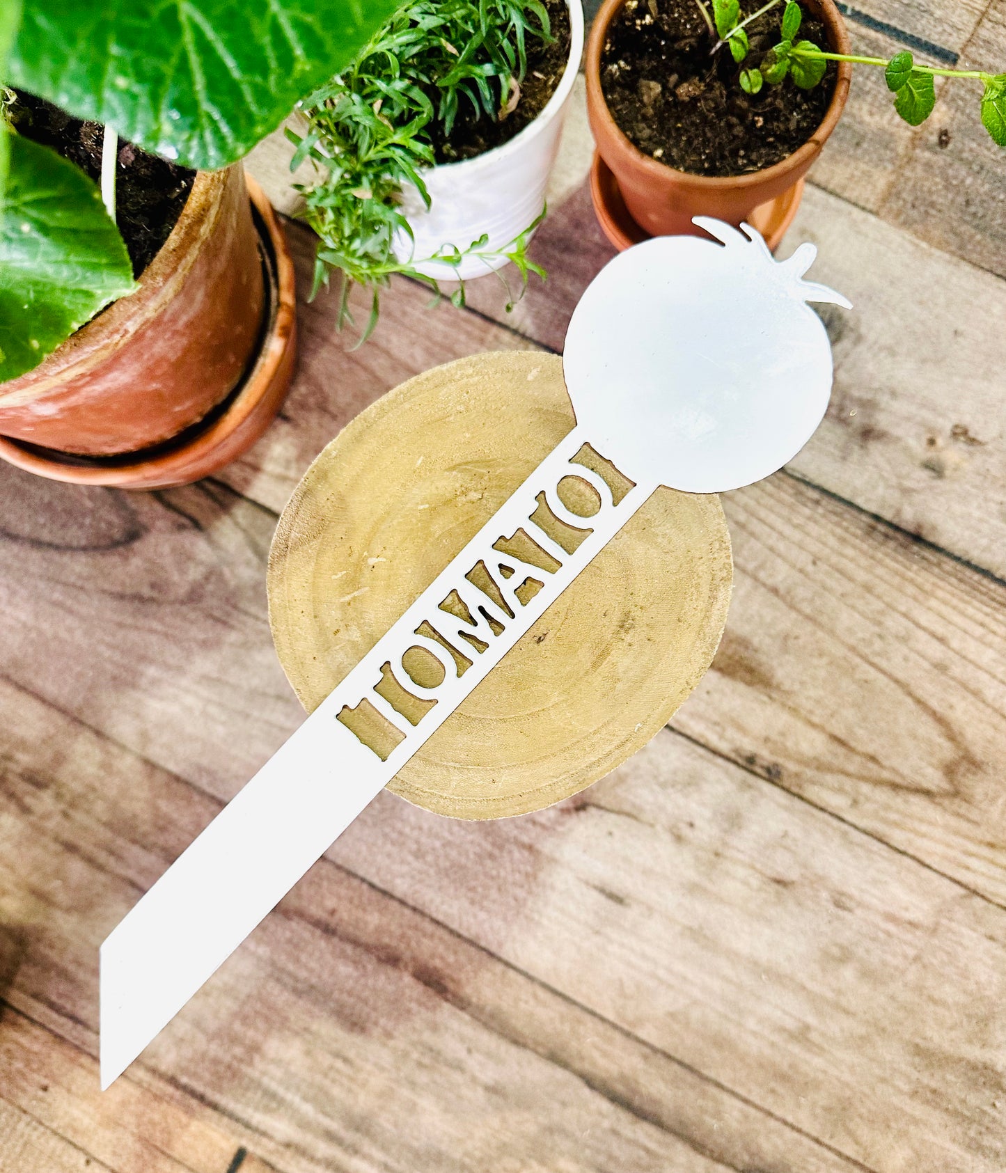 Garden Plant Label