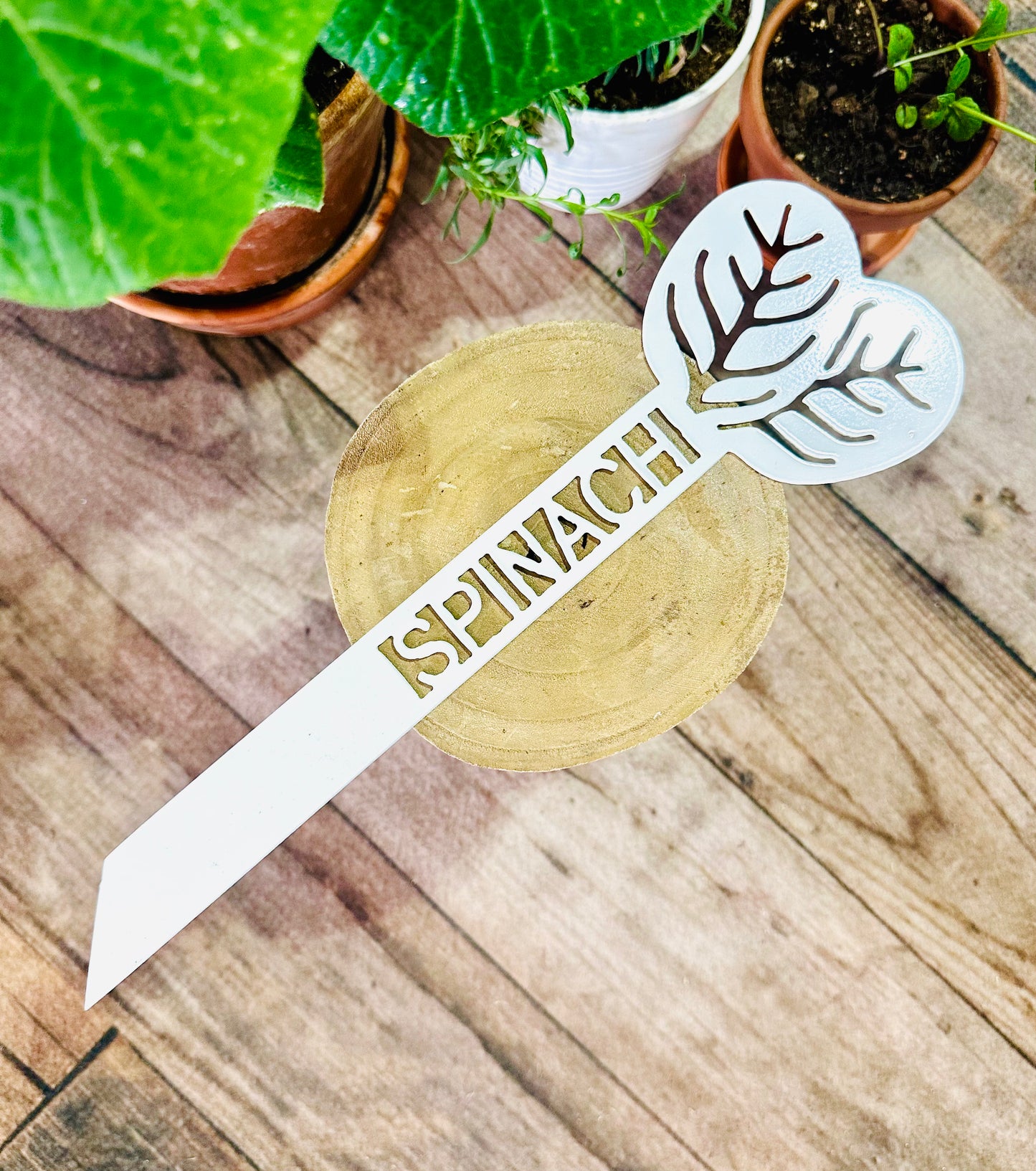 Garden Plant Label