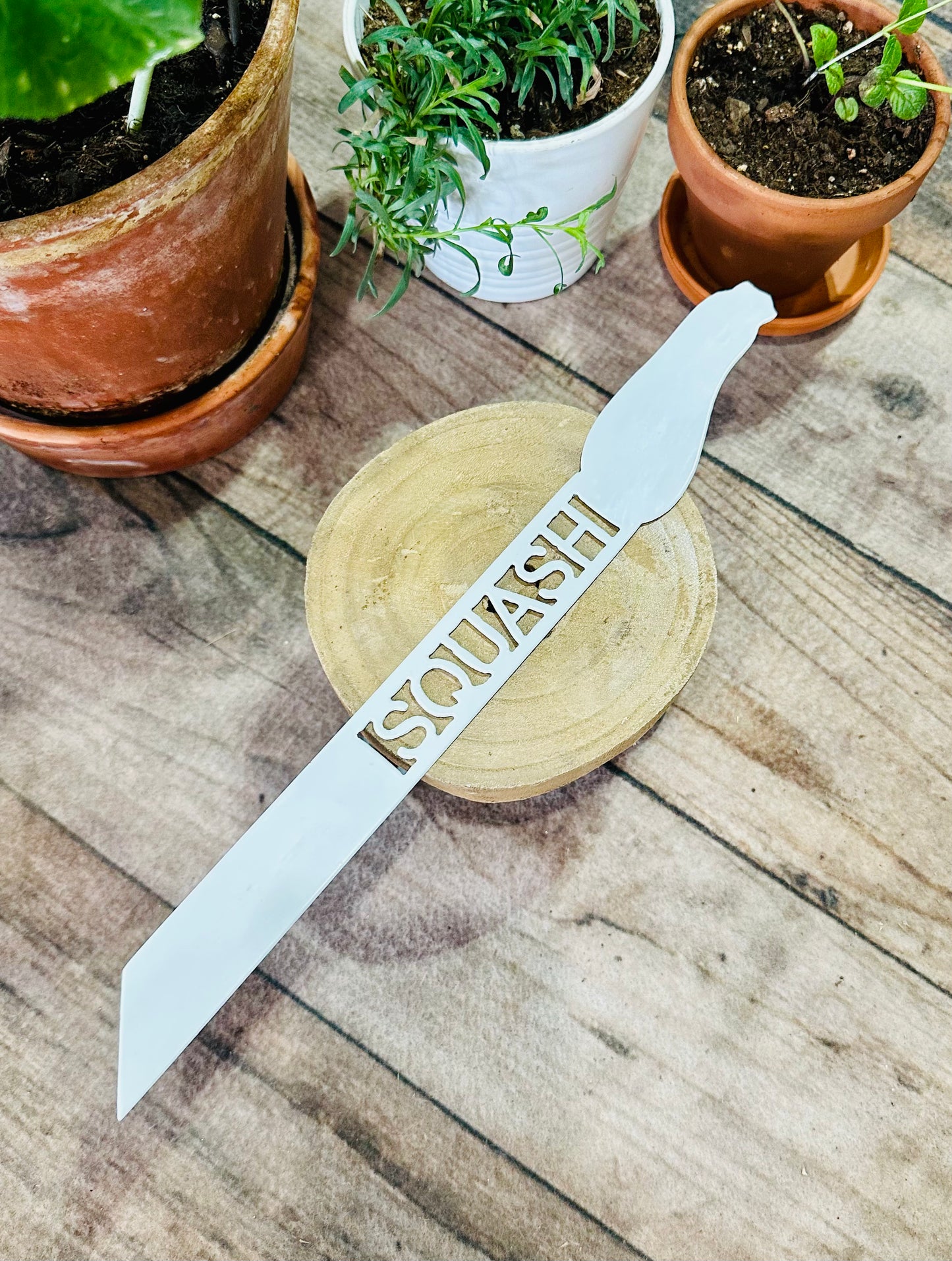 Garden Plant Label