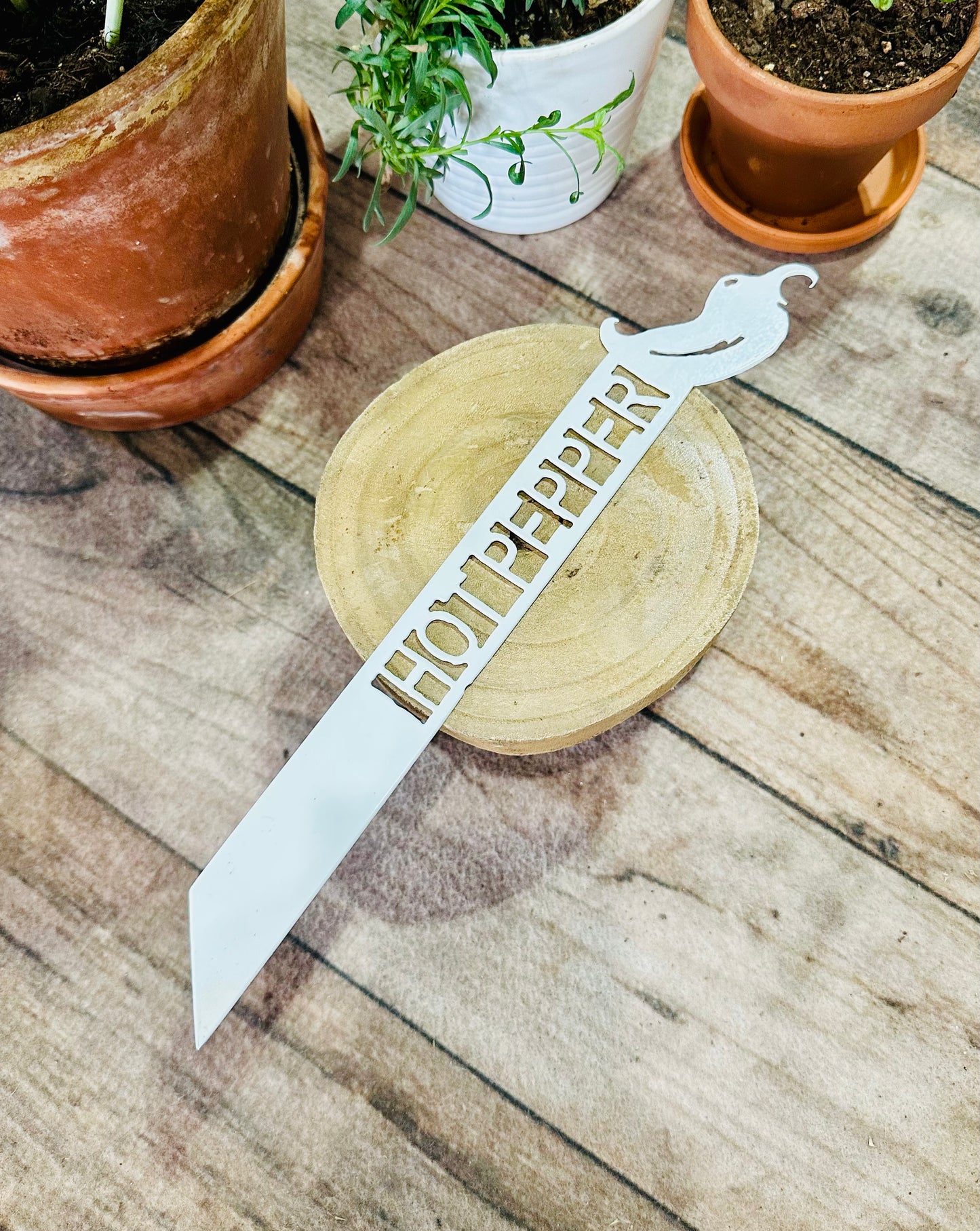 Garden Plant Label