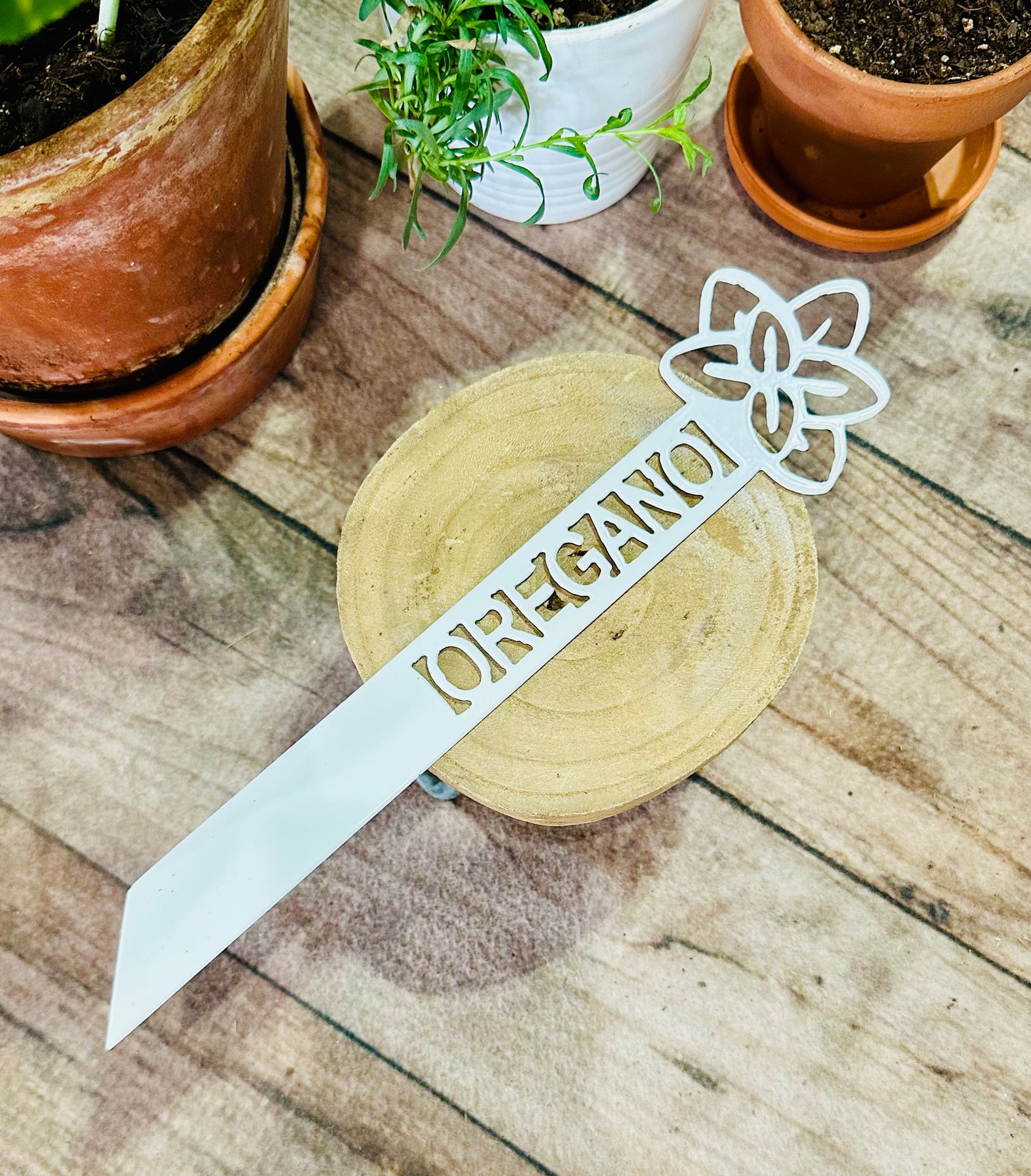 Garden Plant Label
