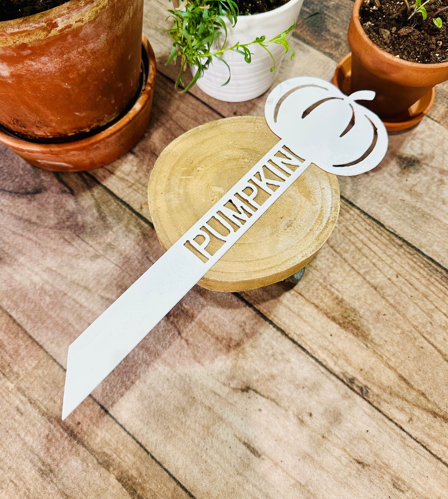 Garden Plant Label