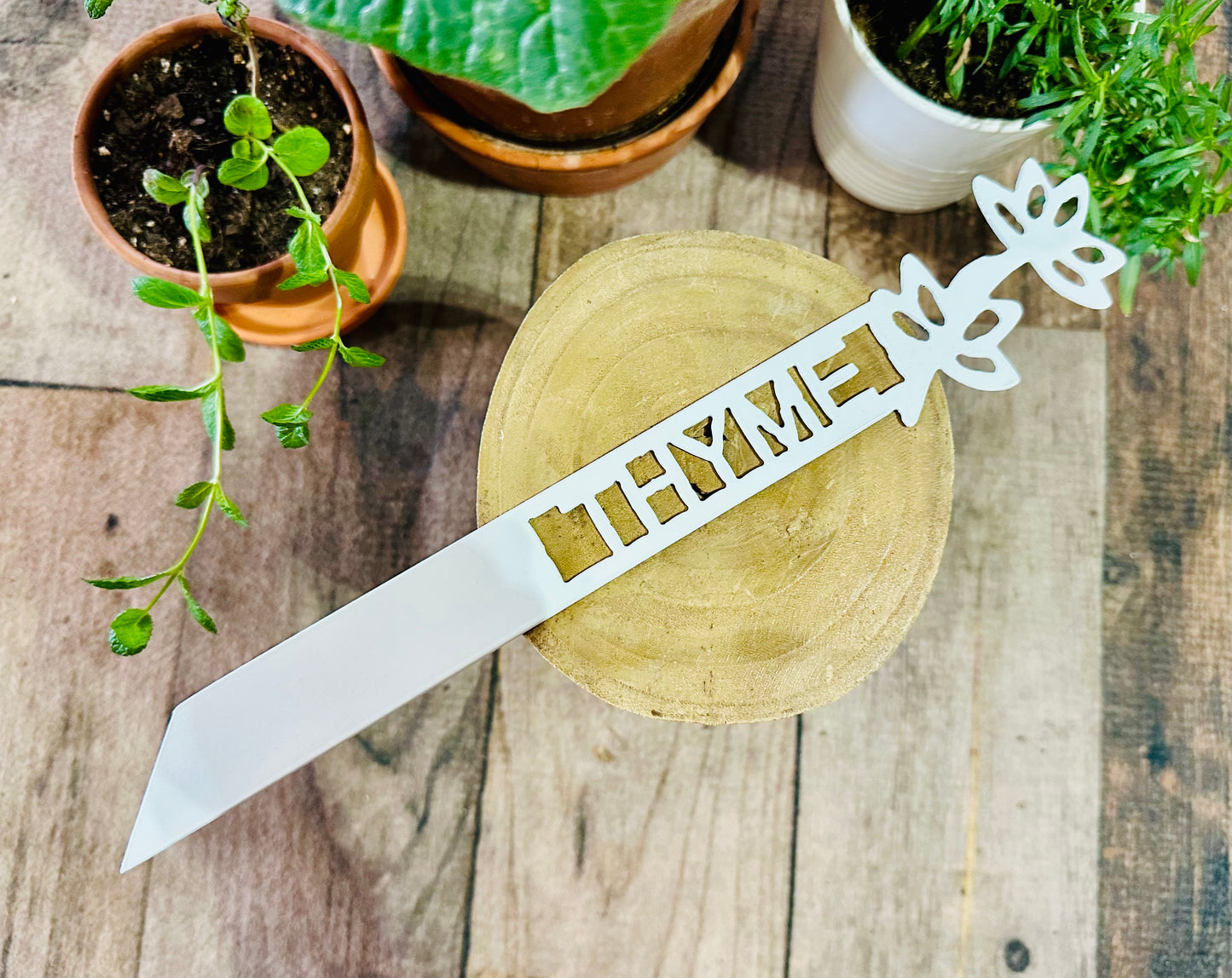 Garden Plant Label