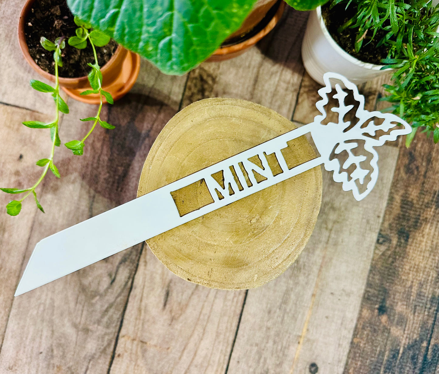 Garden Plant Label
