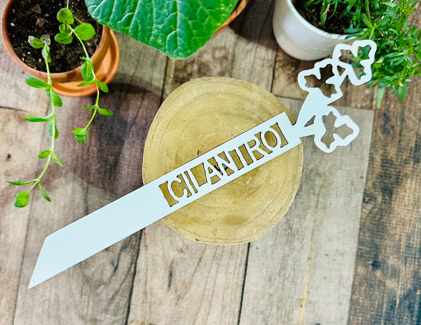 Garden Plant Label