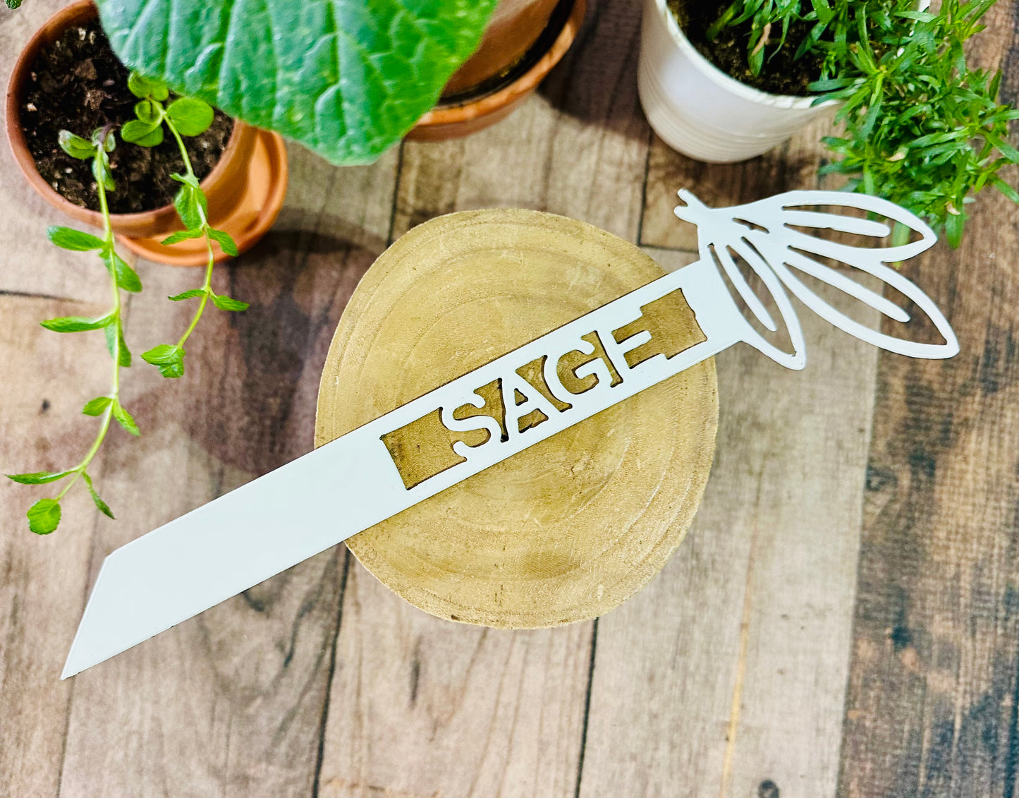 Garden Plant Label