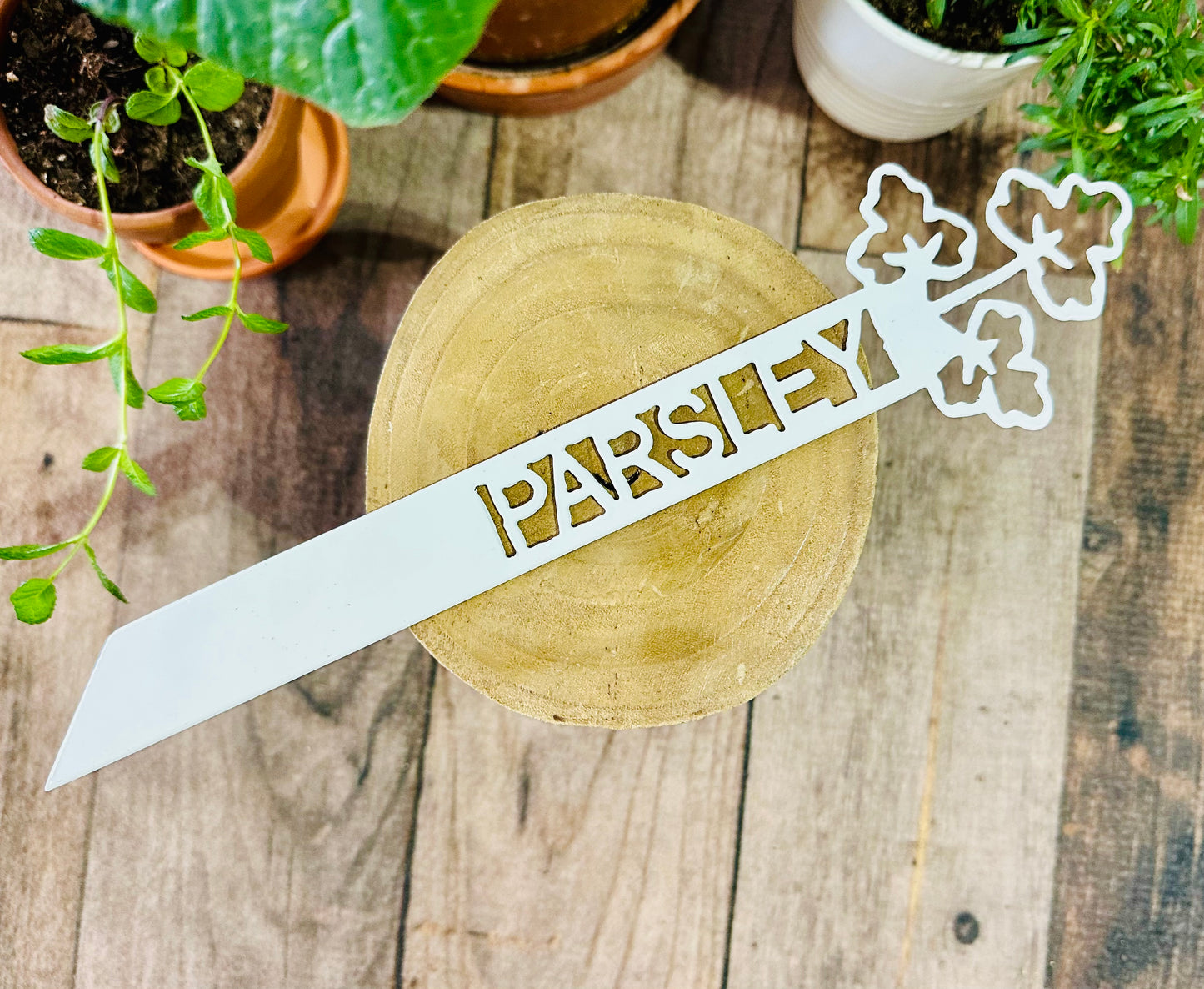 Garden Plant Label