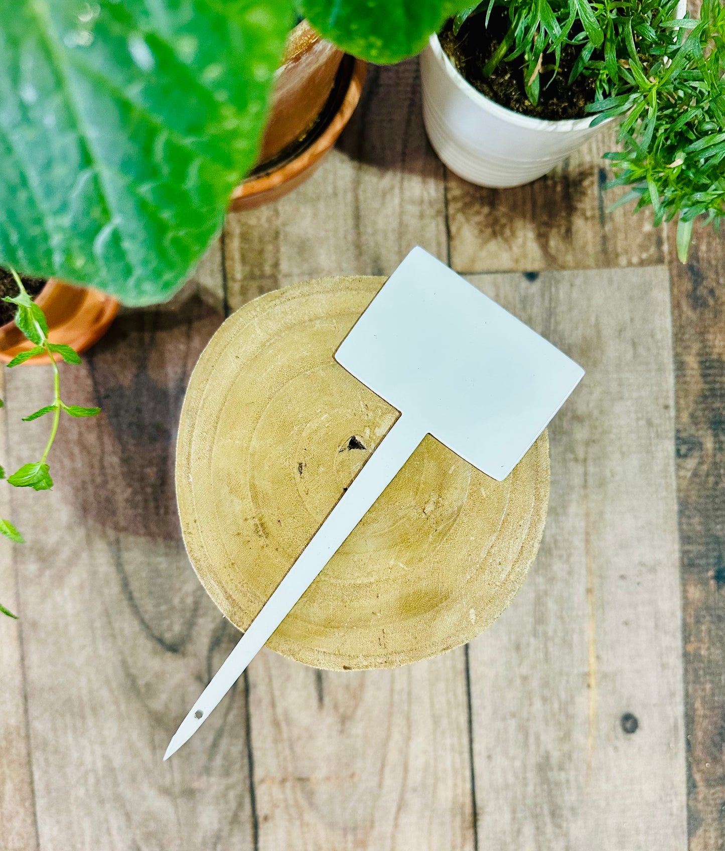 Blank Garden Stake
