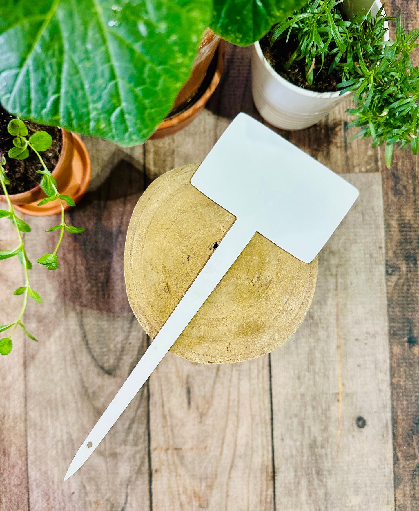Blank Garden Stake