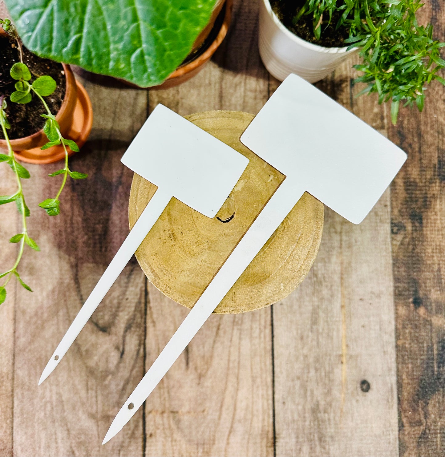 Blank Garden Stake