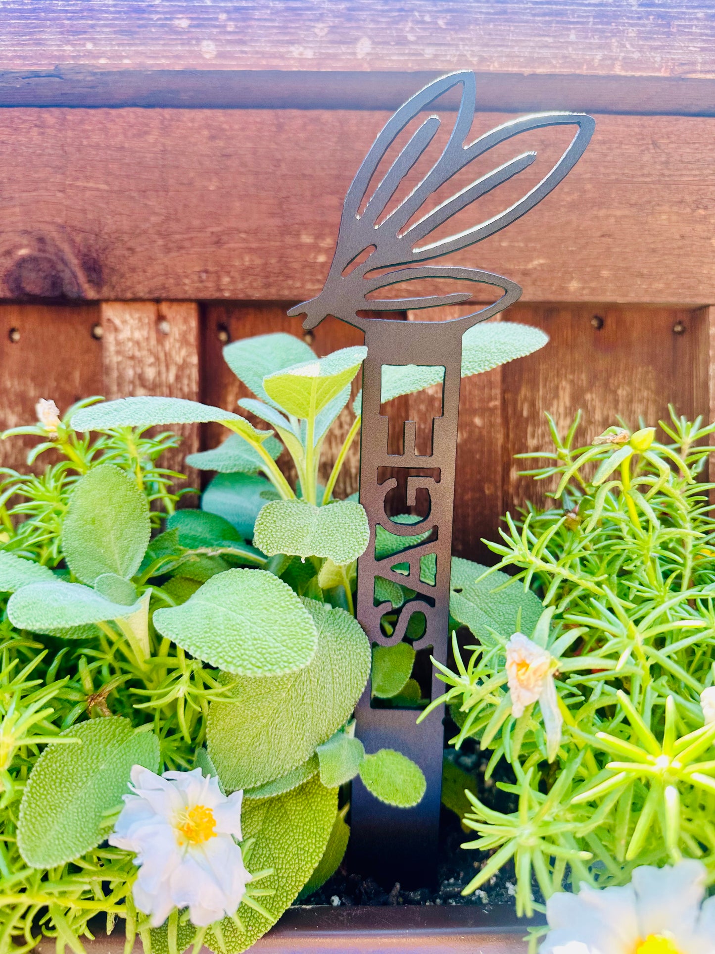 Garden Plant Label