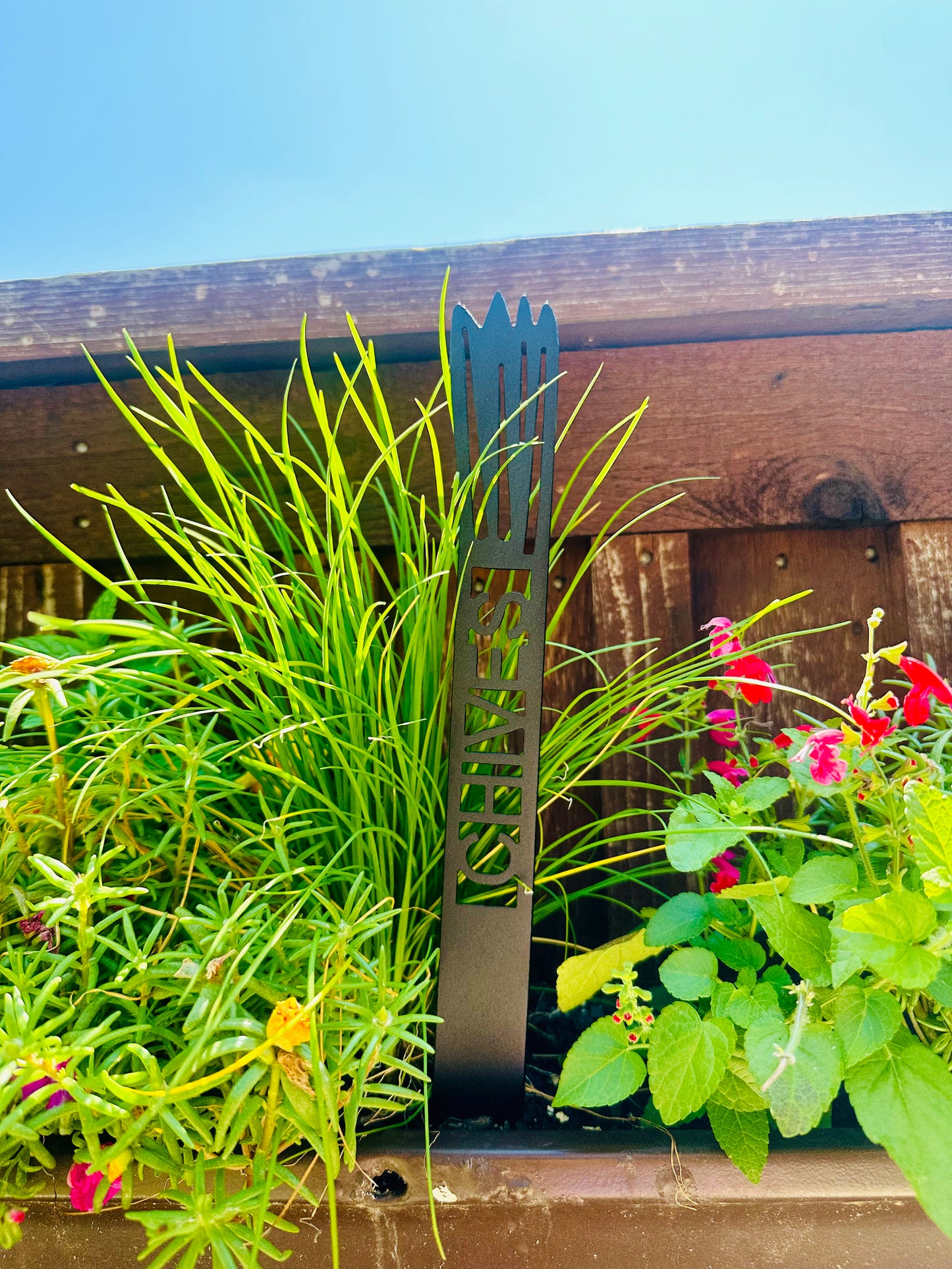 Garden Plant Label
