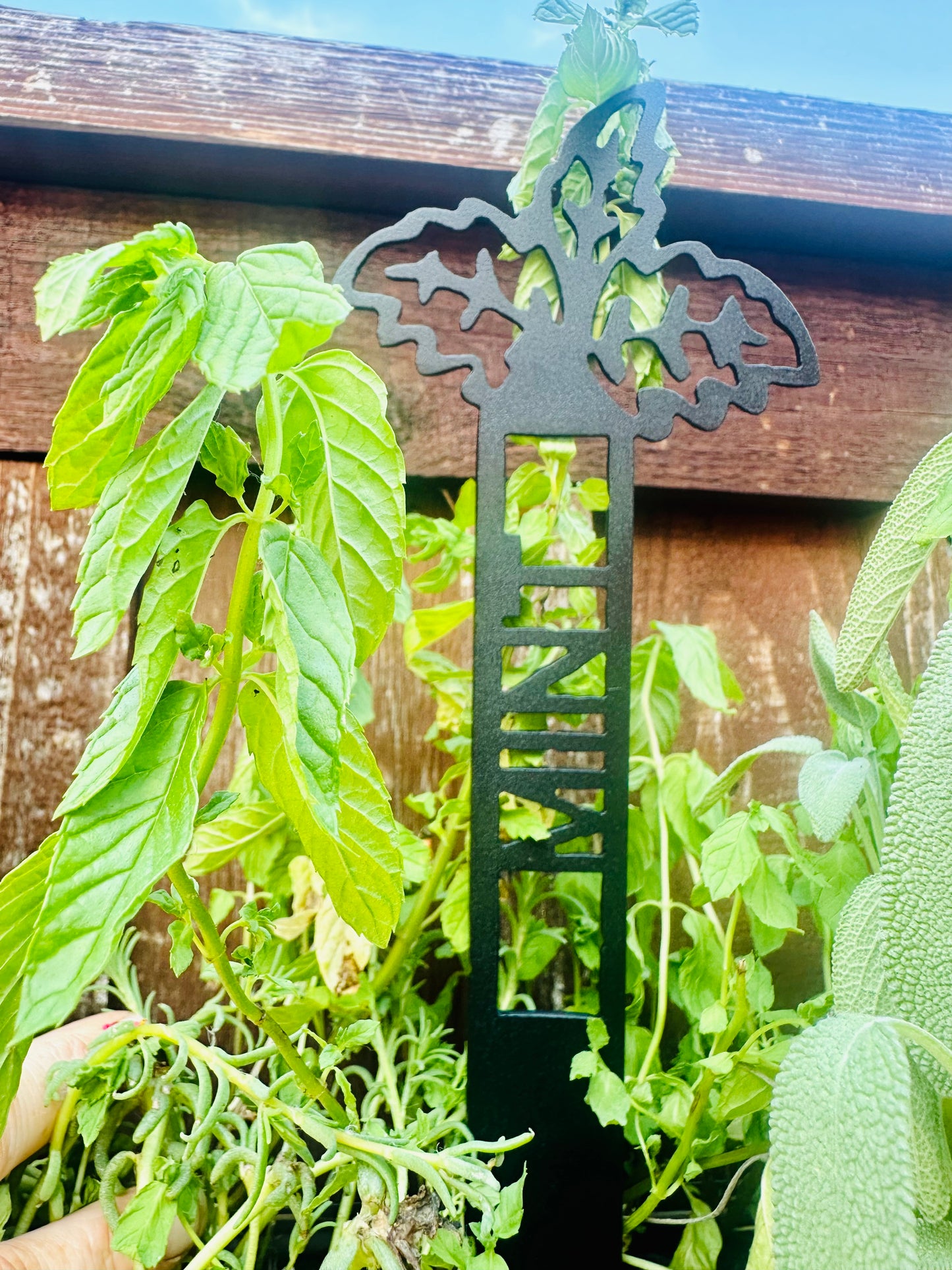 Garden Plant Label