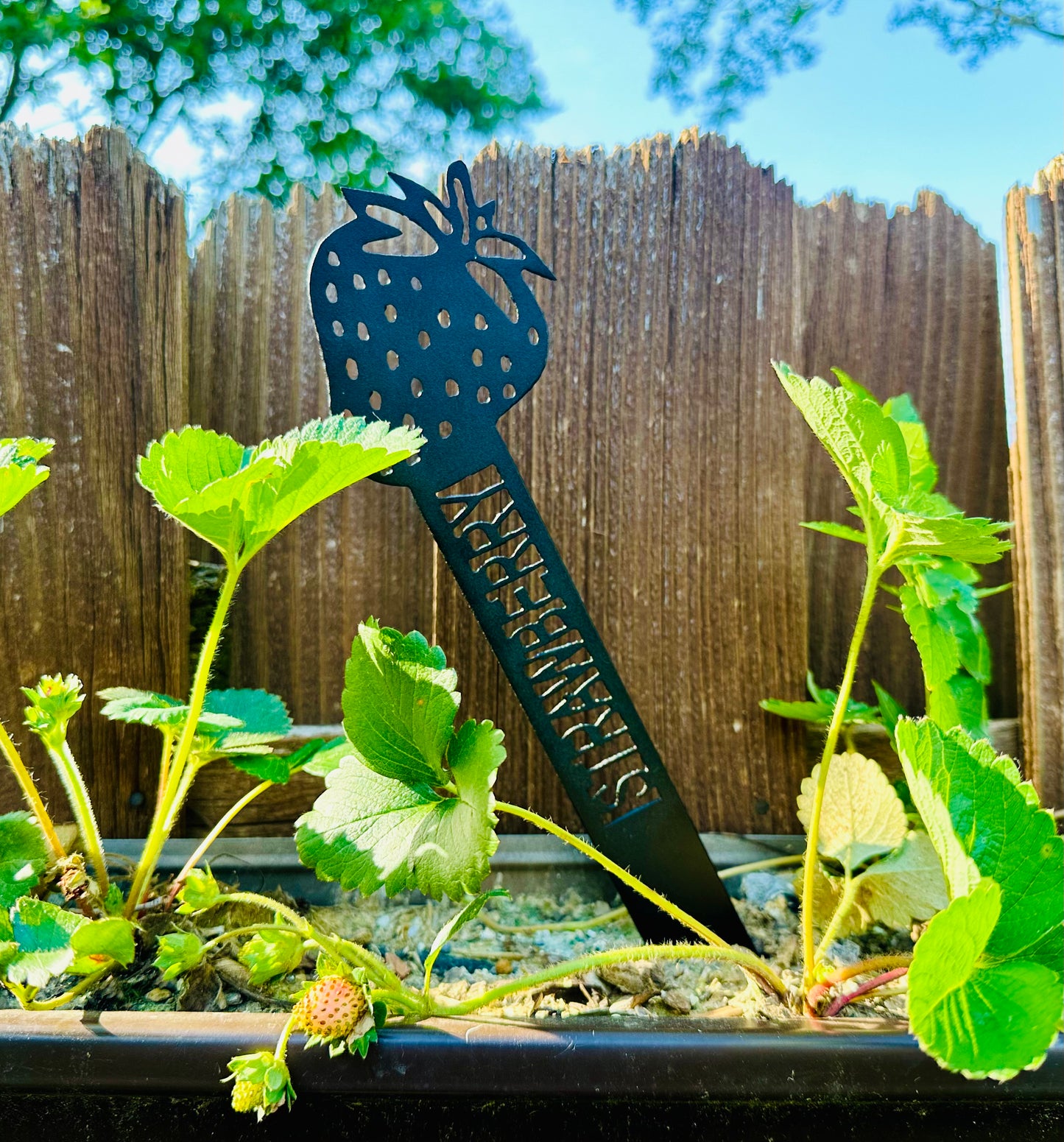 Garden Plant Label