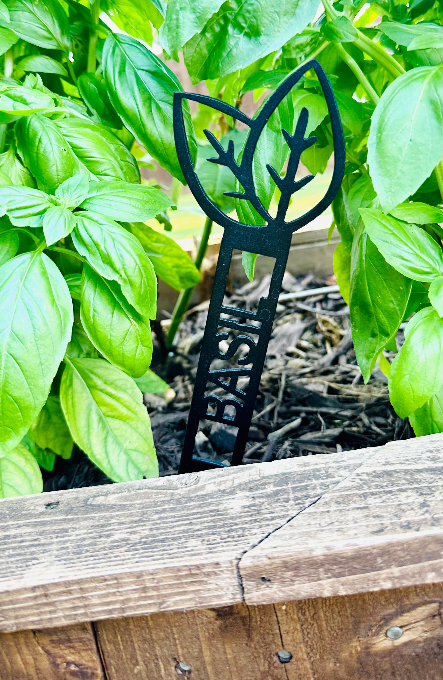 Garden Plant Label