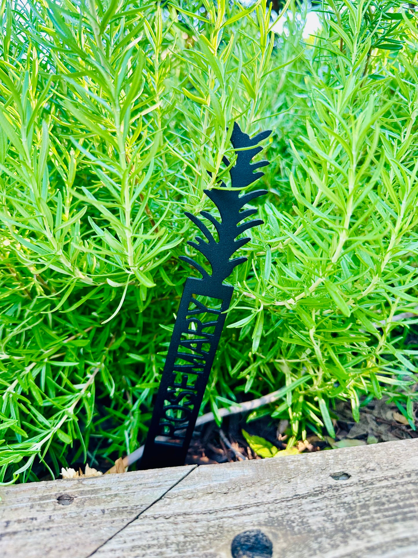 Garden Plant Label
