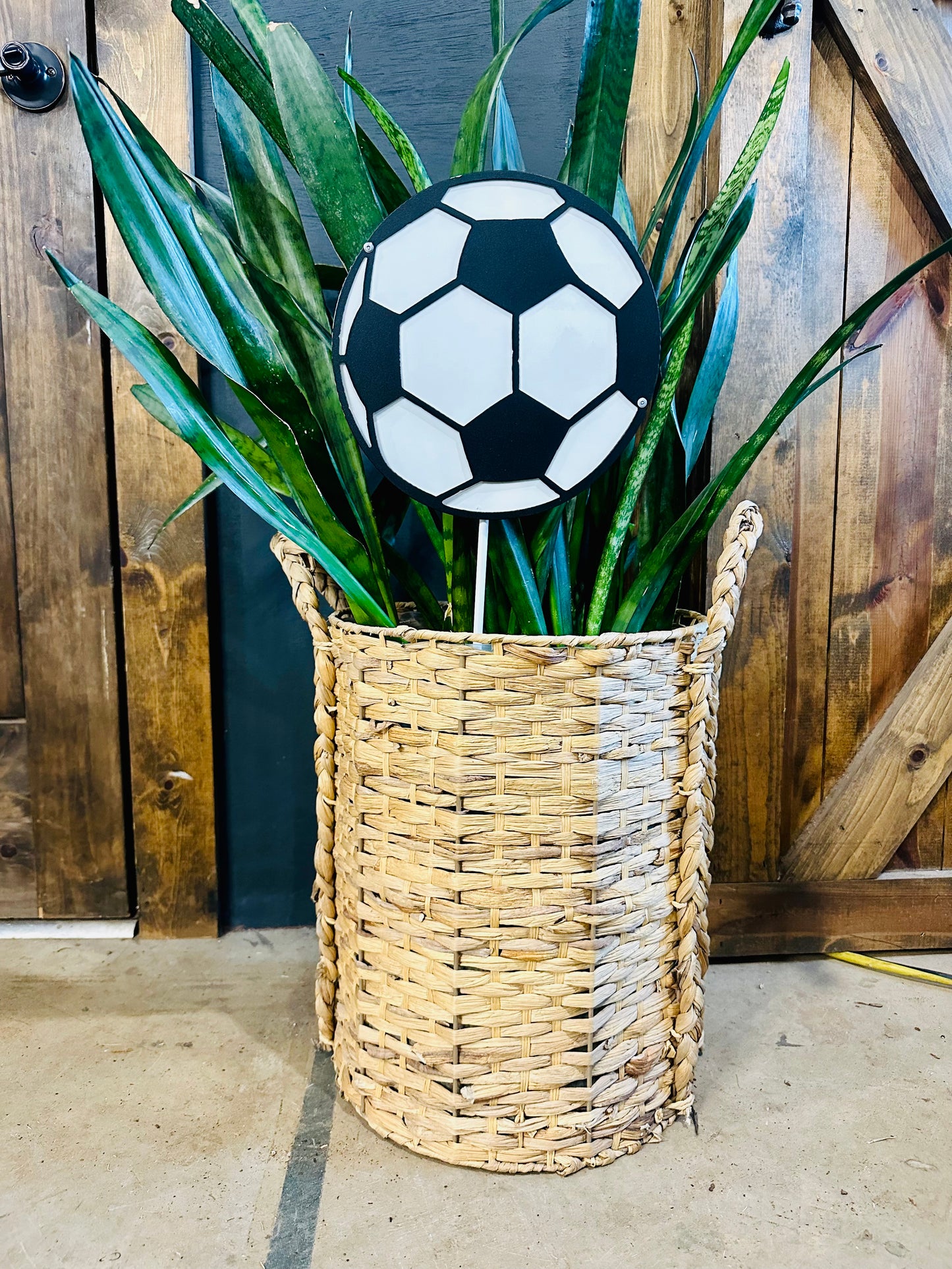Mini Soccer Plant Spike