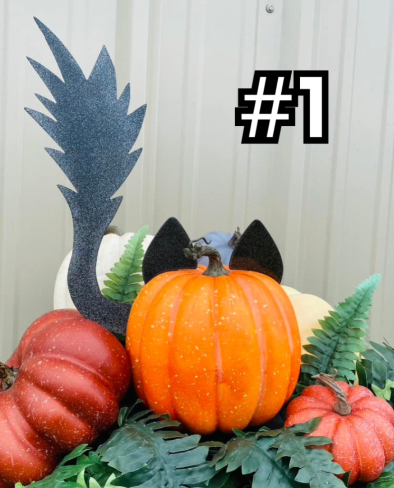Kitty Cat Pumpkin Kit - Two Options