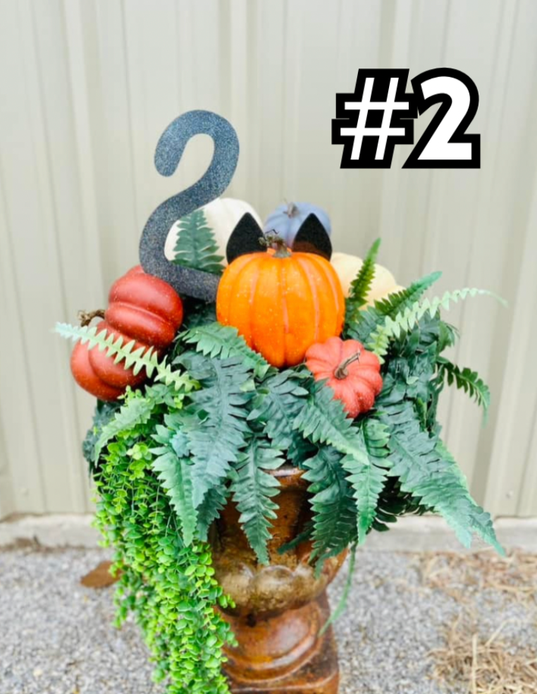 Kitty Cat Pumpkin Kit - Two Options