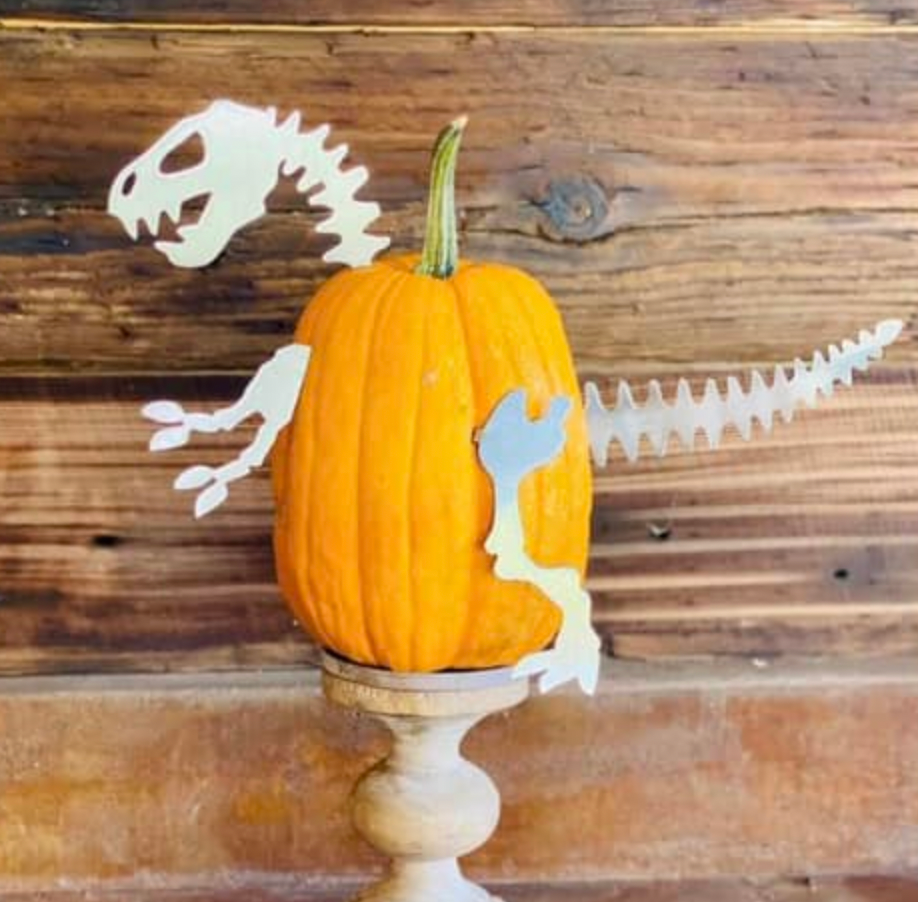 Dino Bones Small Pumpkin Kit