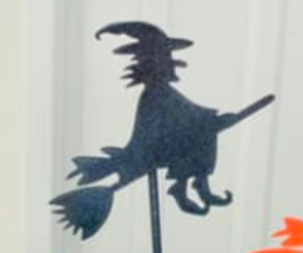Witch & Her Broom