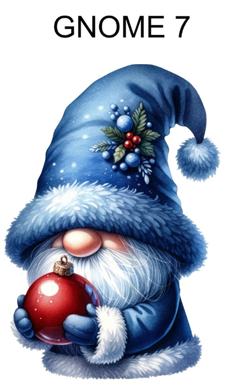 Blue Gnome