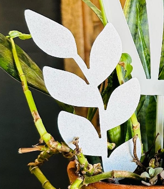 Plant Leaf Picks